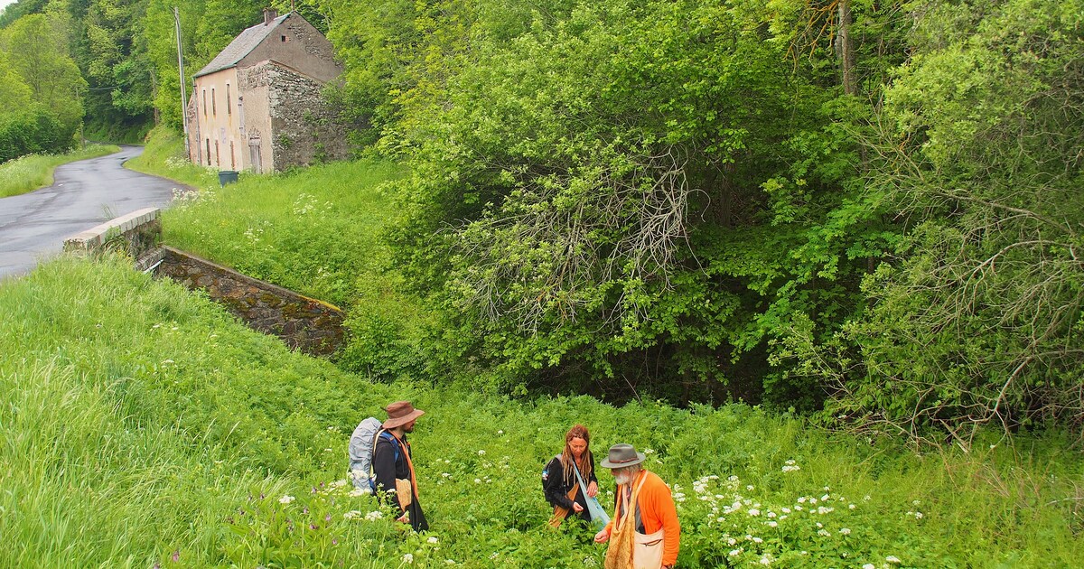 Winkelen In De Wilde Natuur Van Alles Wat Om Ons Heen Groeit En