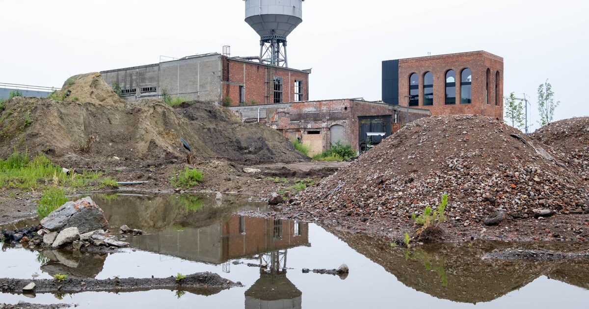 PFOS Waarden In Willebroek Tien Keer Hoger Dan In Woongebied Rond 3M