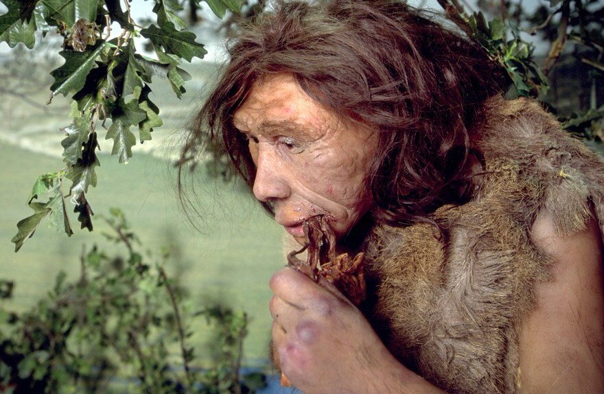 Wetenschappers vinden DNA van neanderthalers in grotten