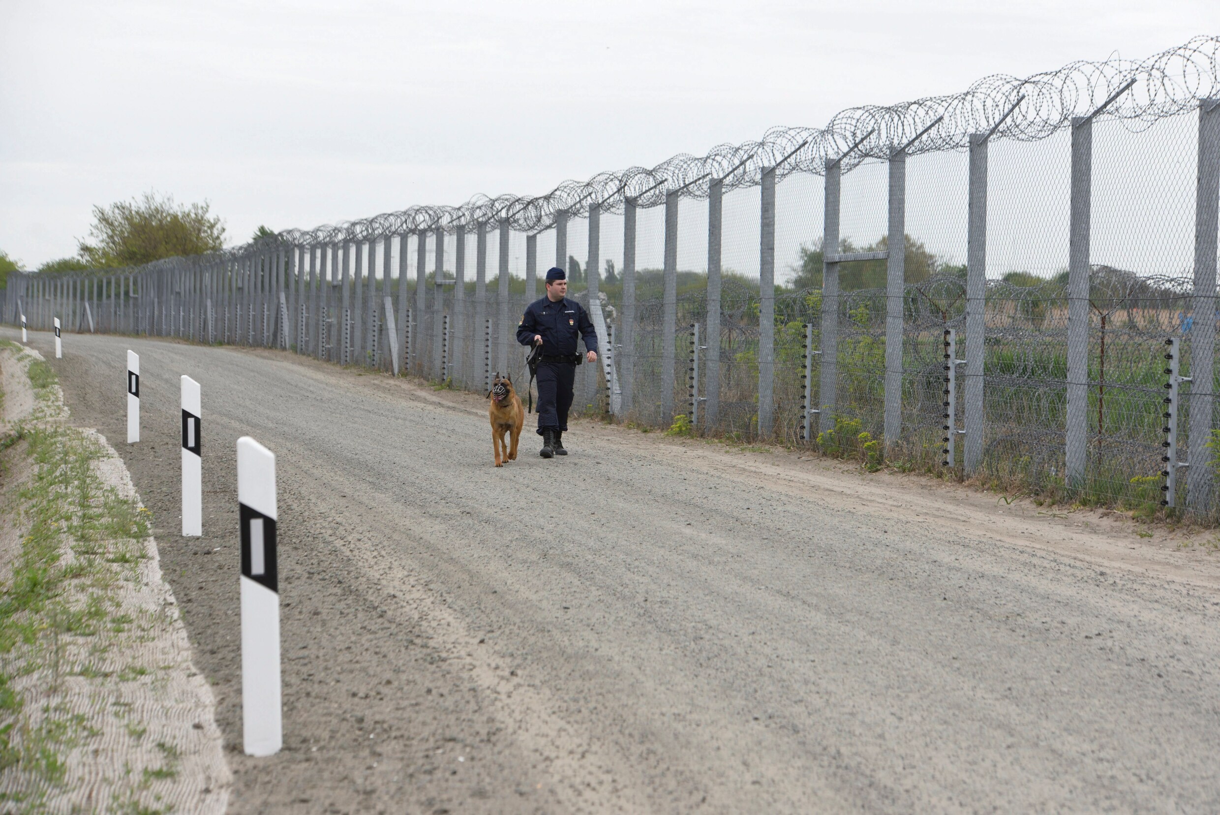 Constructie van tweede hek dat migranten moet tegenhouden op Hongaars-Servische grens  beëindigd