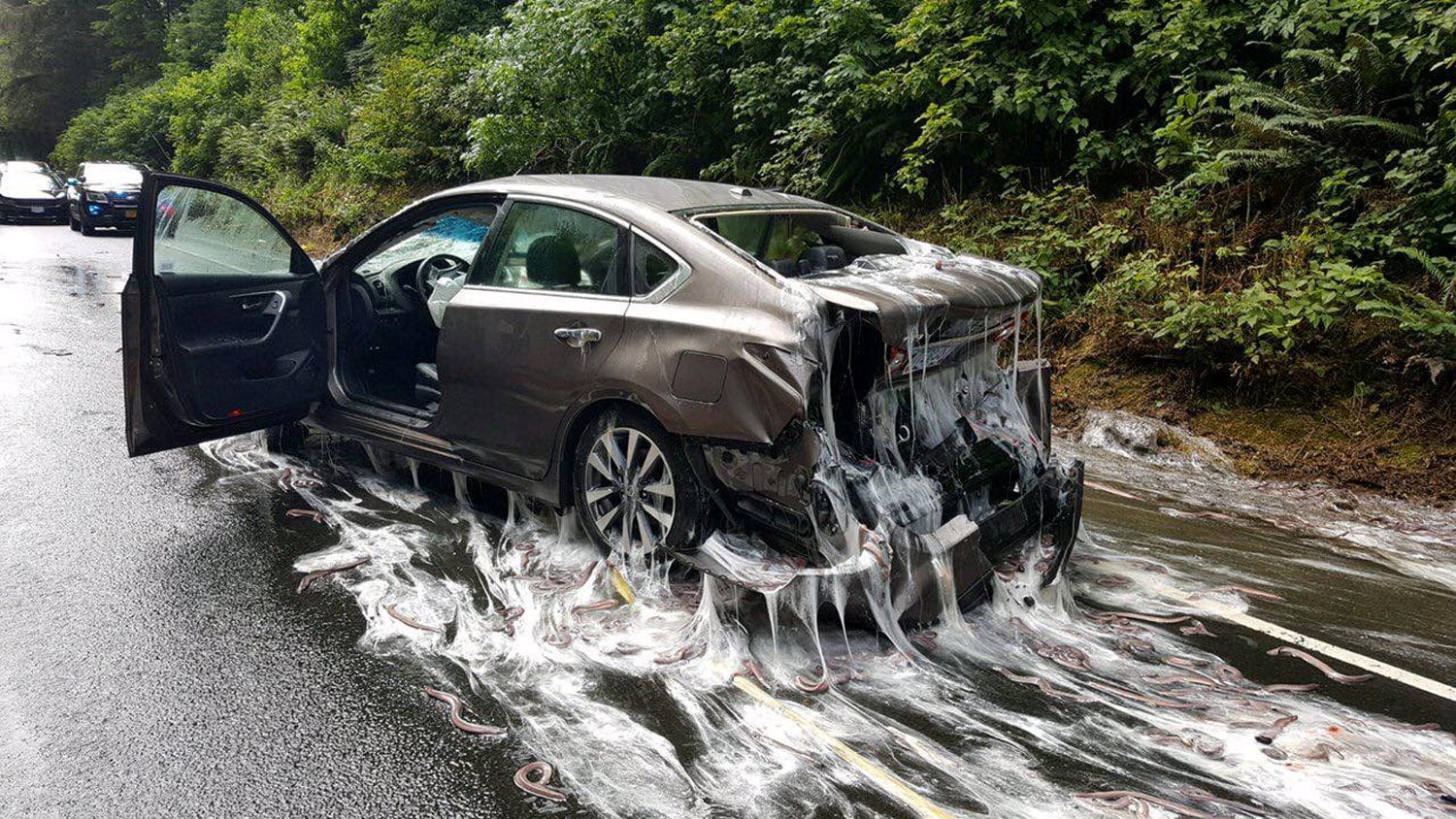 Amerikaanse snelweg wordt slijmbad nadat truck met 'slijmalen' kantelt