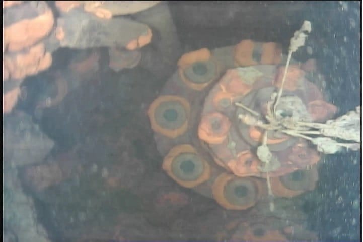 Fukushima: onderwaterrobot toont eerste beelden gesmolten kernafval