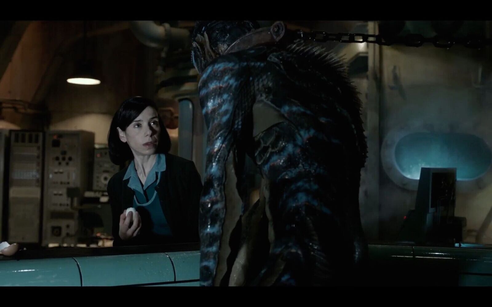 1. The Shape of Water