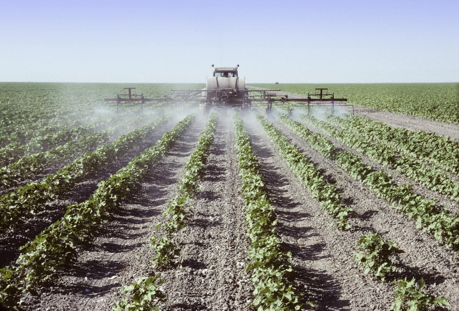Helft van de Vlamingen gebruikt nog pesticiden