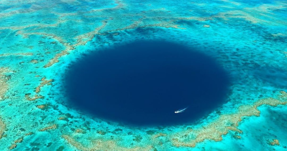 De oceaan geeft zijn geheimen prijs: biologen vinden opnieuw meters diepe onderwatergrot in Great Ba