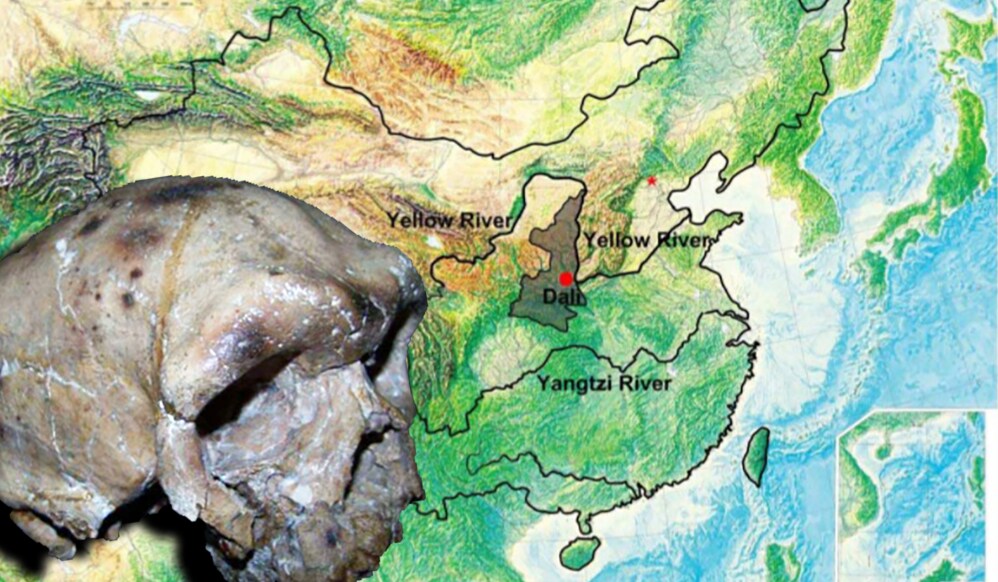 Wetenschappers vinden schedel die menselijke geschiedenis helemaal kan herschrijven