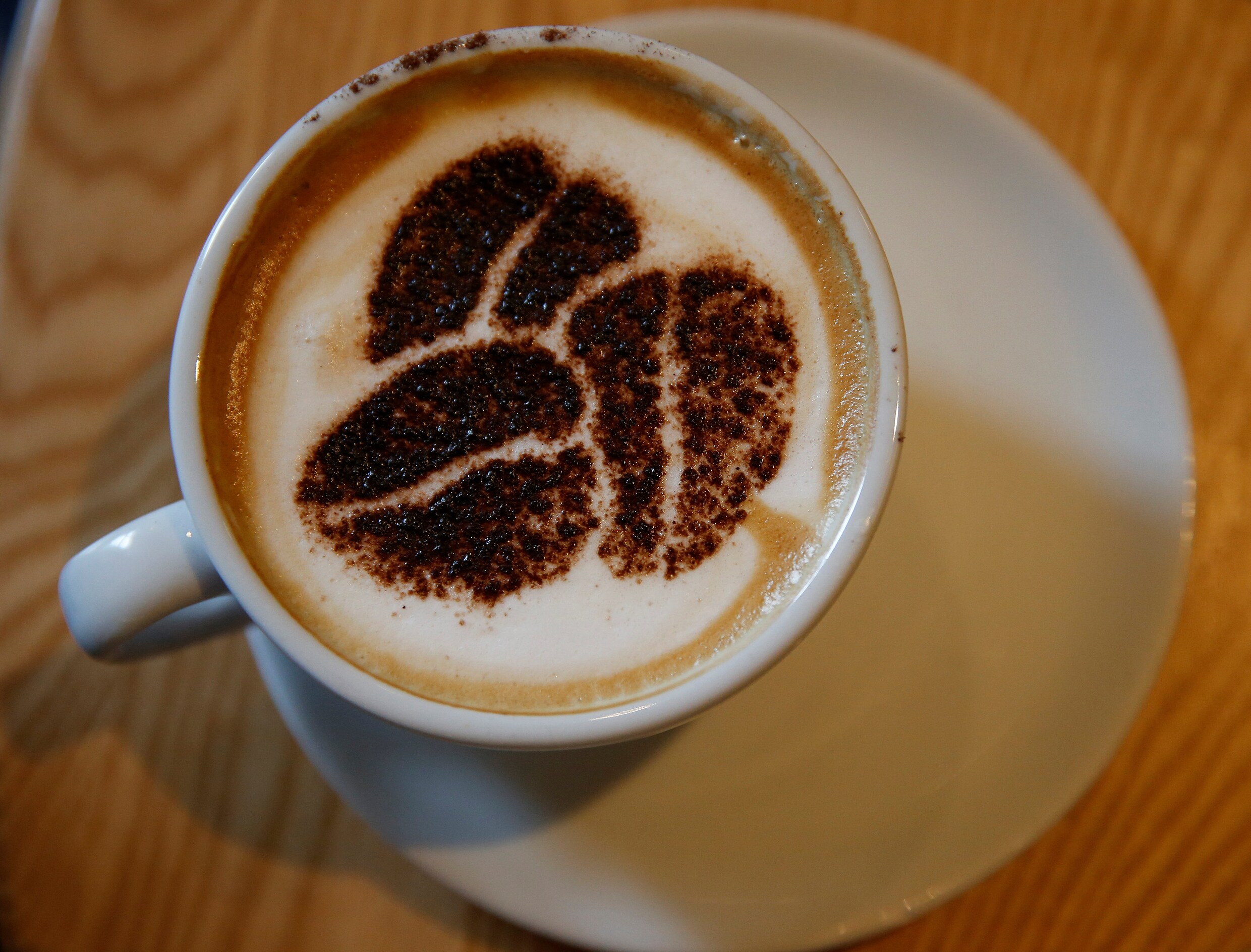 Drie tot vier kopjes koffie per dag doen kans op hartziekten dalen