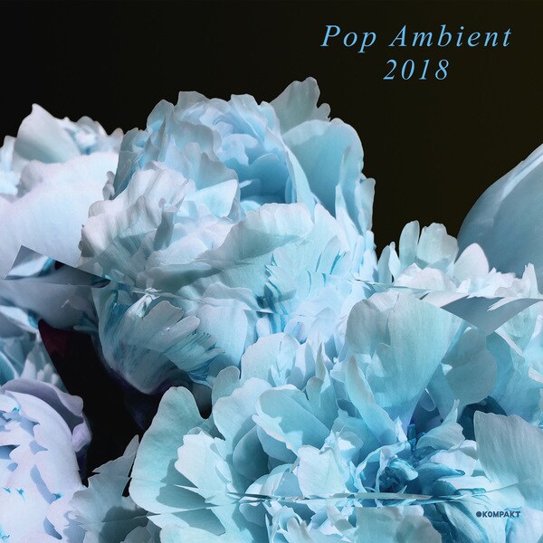 7. V/A 'Pop Ambient 2018'