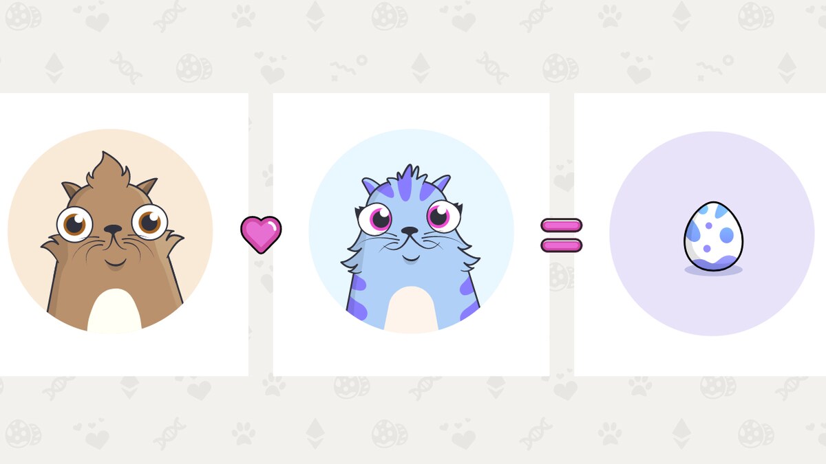 Tientallen miljoenen voor een werk dat je niet aan de muur kunt hangen: is  digitale kunst waanzin? | De Morgen