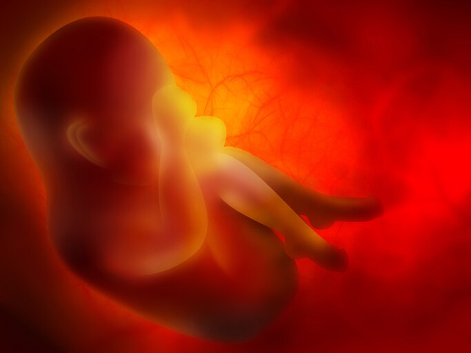Vrouw van 25 bevalt van baby die 24 jaar geleden ingevroren werd als embryo