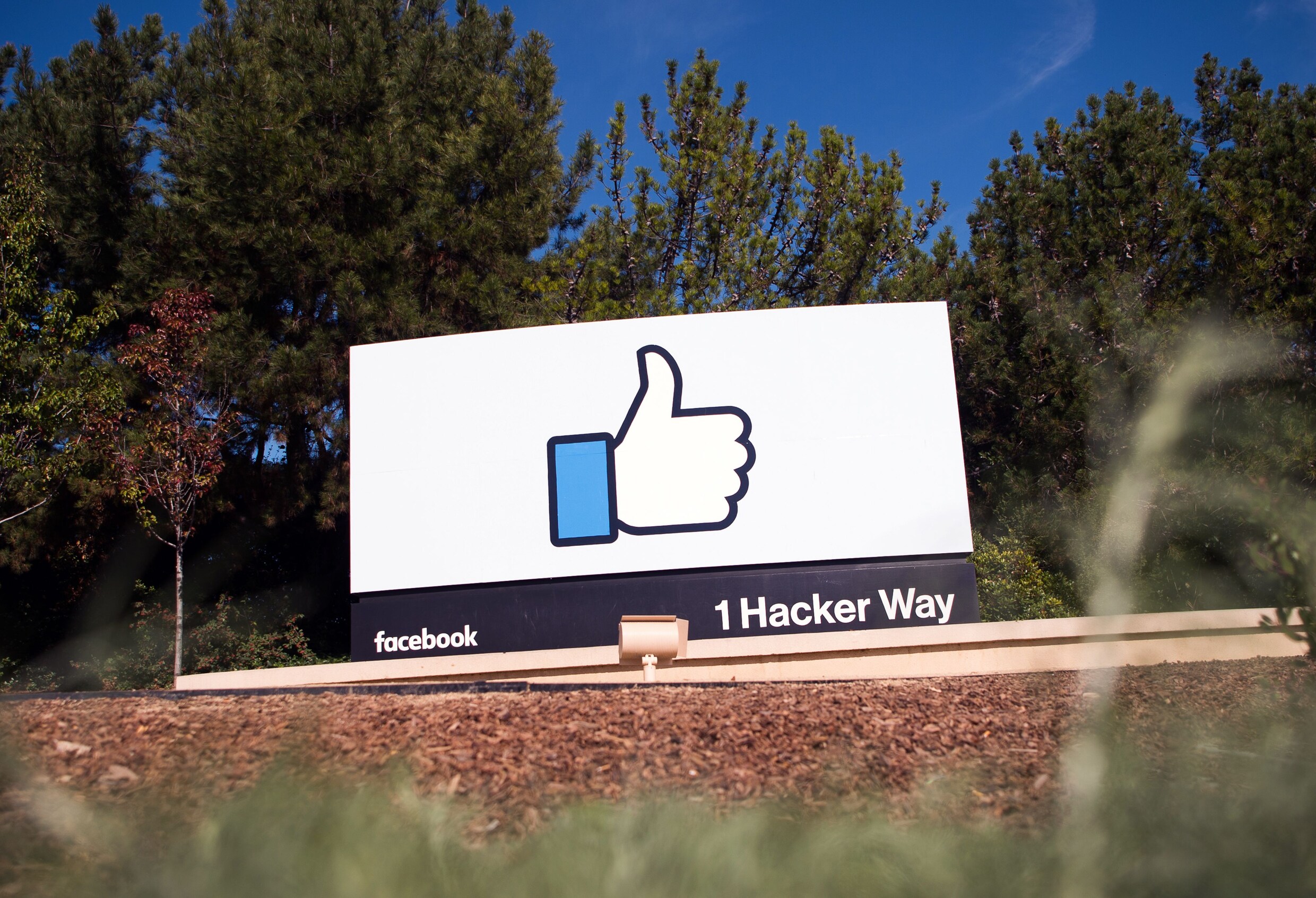 "Sociale netwerken kunnen gevaar voor democratie inhouden", zegt Facebook