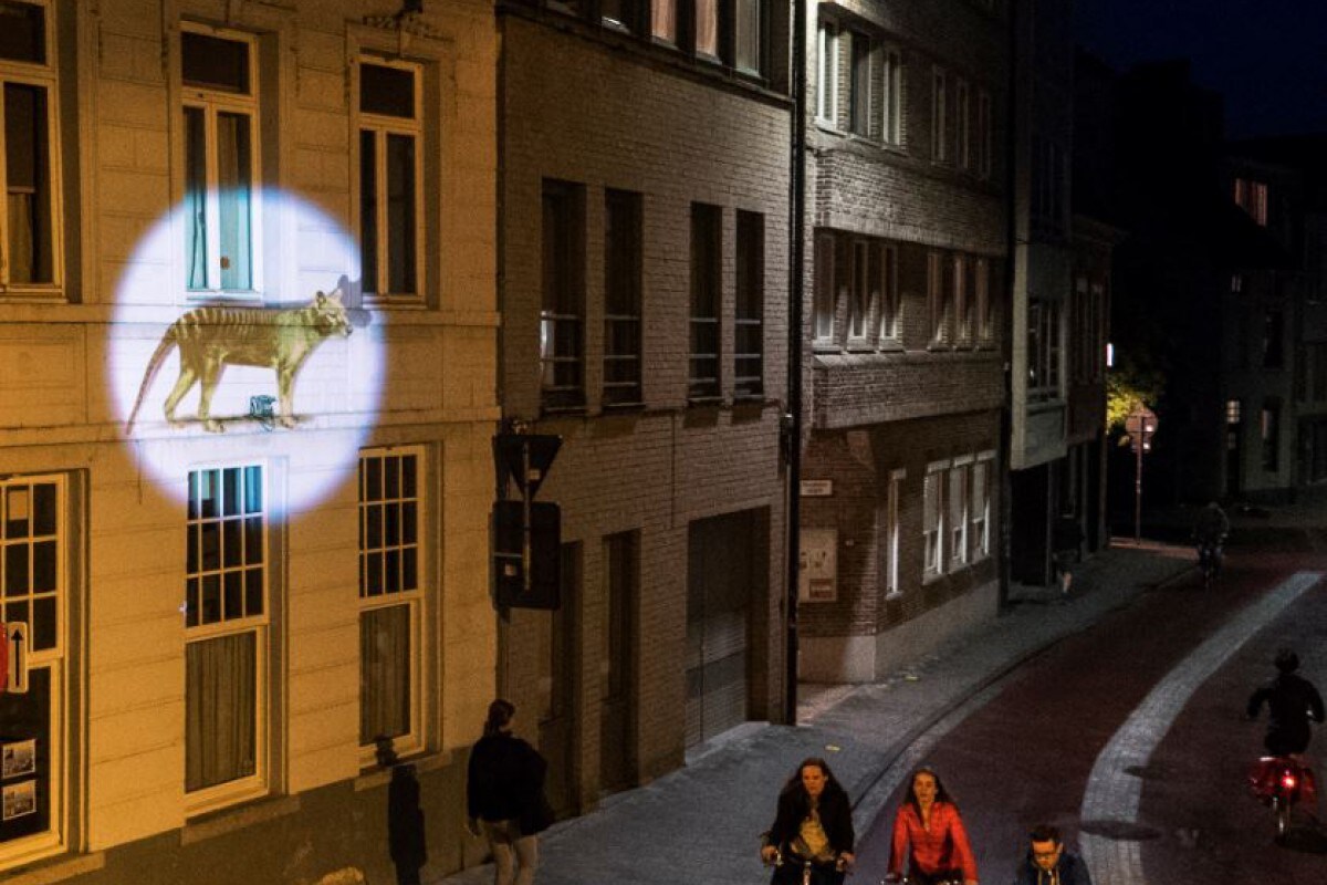 Gents lichtfestival blikt met 835.000 bezoekers terug op recordeditie