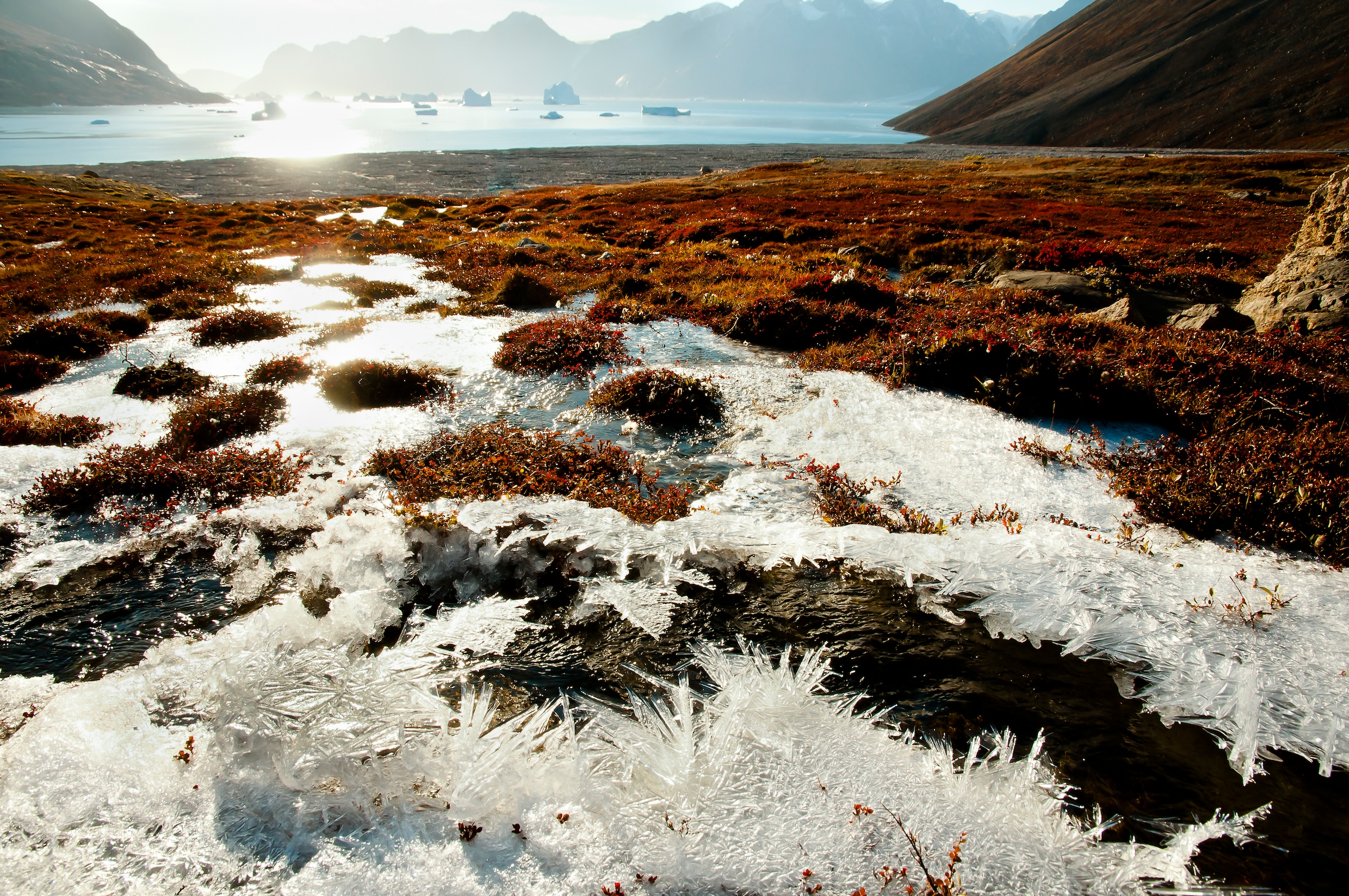 Smeltende permafrost dreigt enorme opslag van giftig kwik vrij te geven