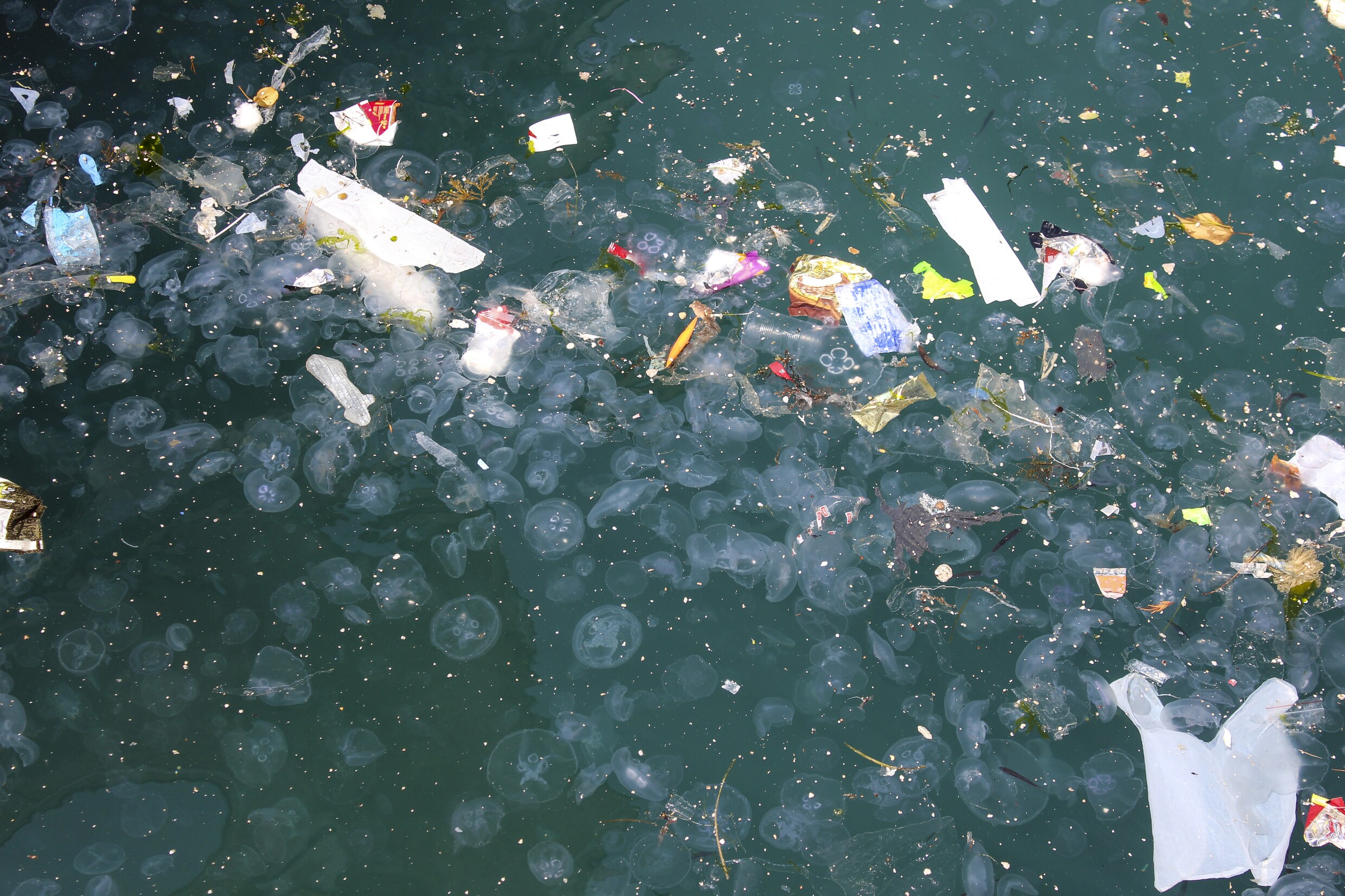 Microplastics vervuilen zelfs de meest afgelegen delen van de oceanen