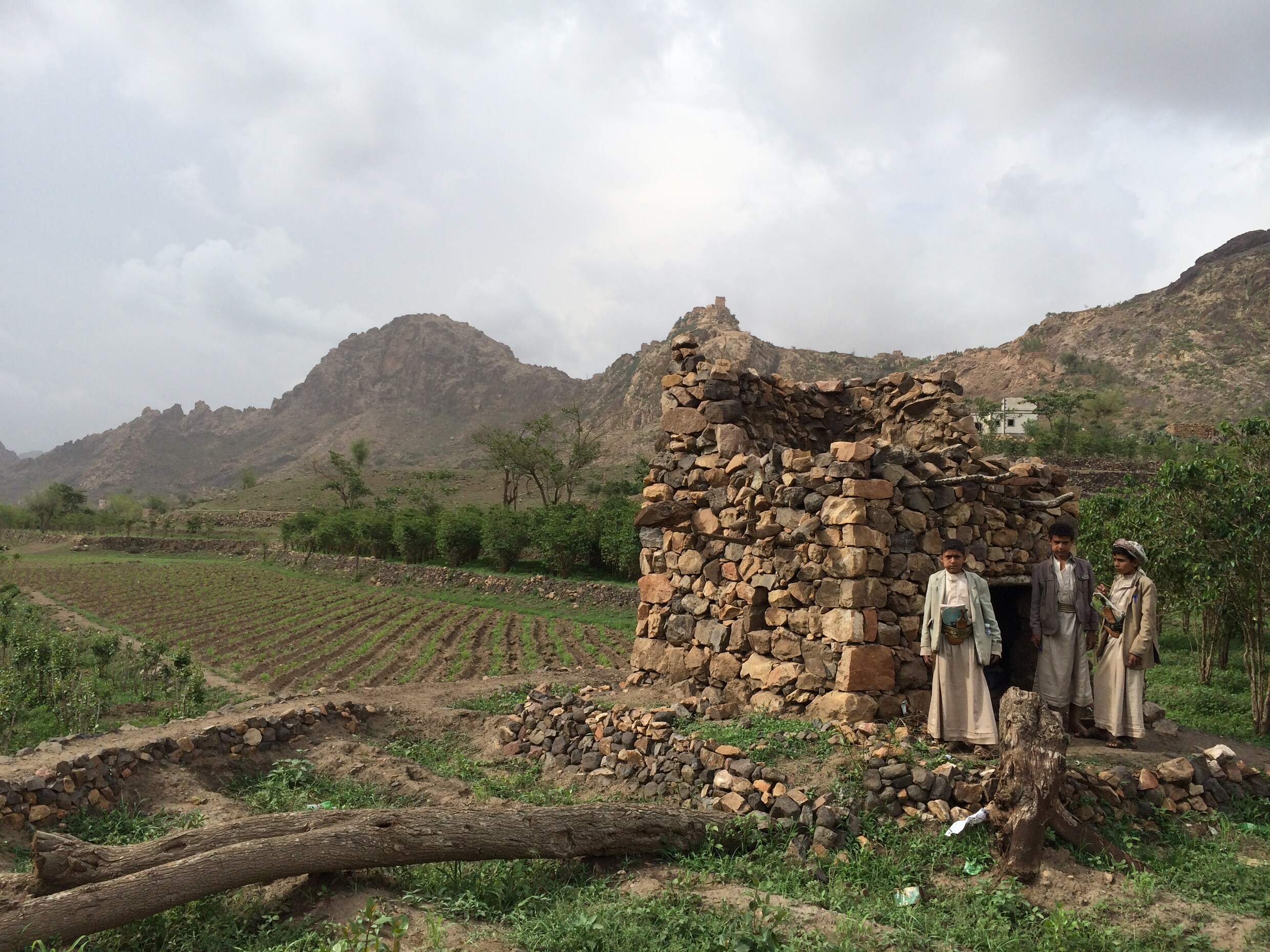 Waarom oorlog in Jemen goed is voor de koffie