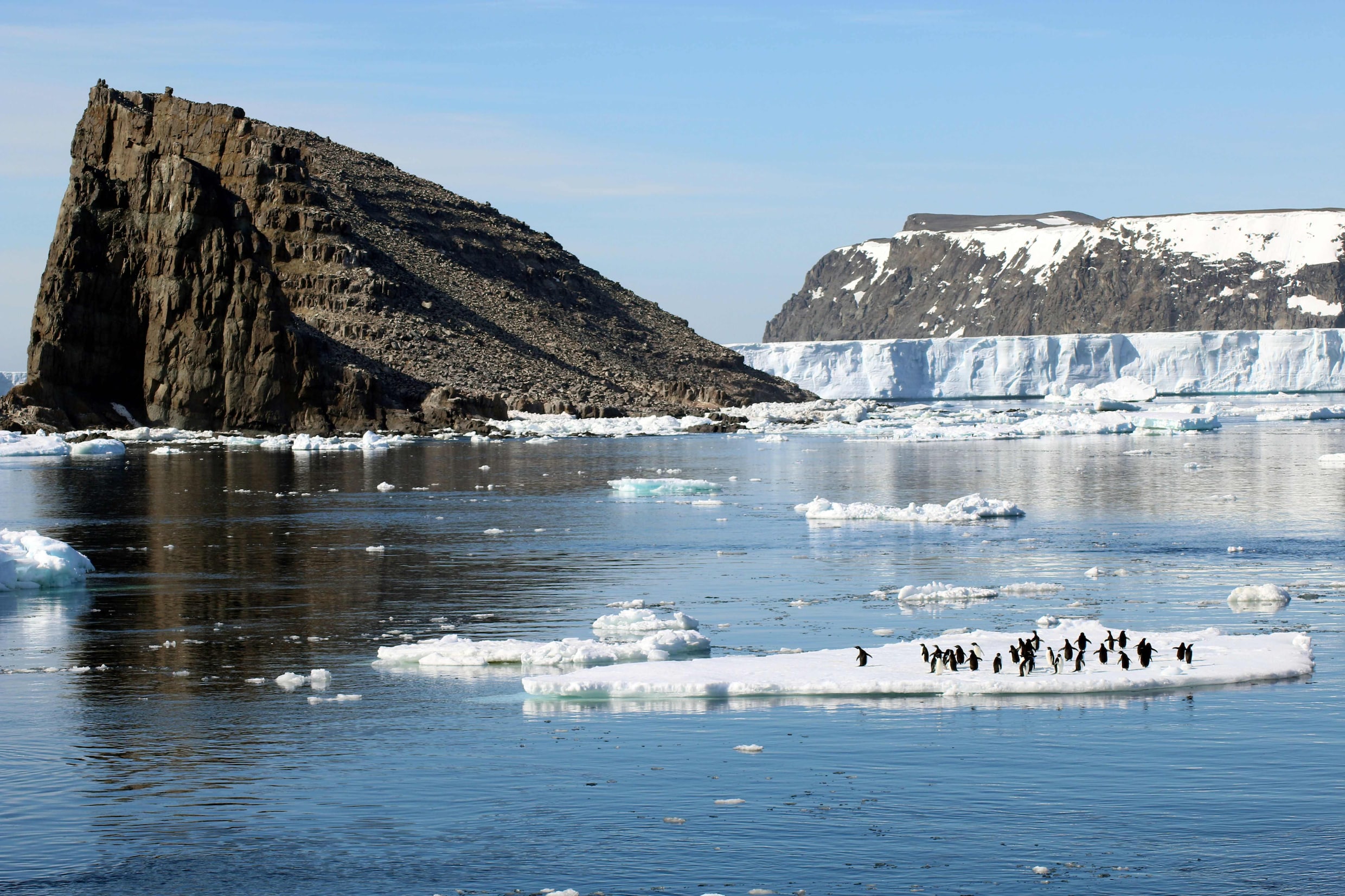 Verborgen "superkolonie" van anderhalf miljoen pinguïns ontdekt op Antarctica