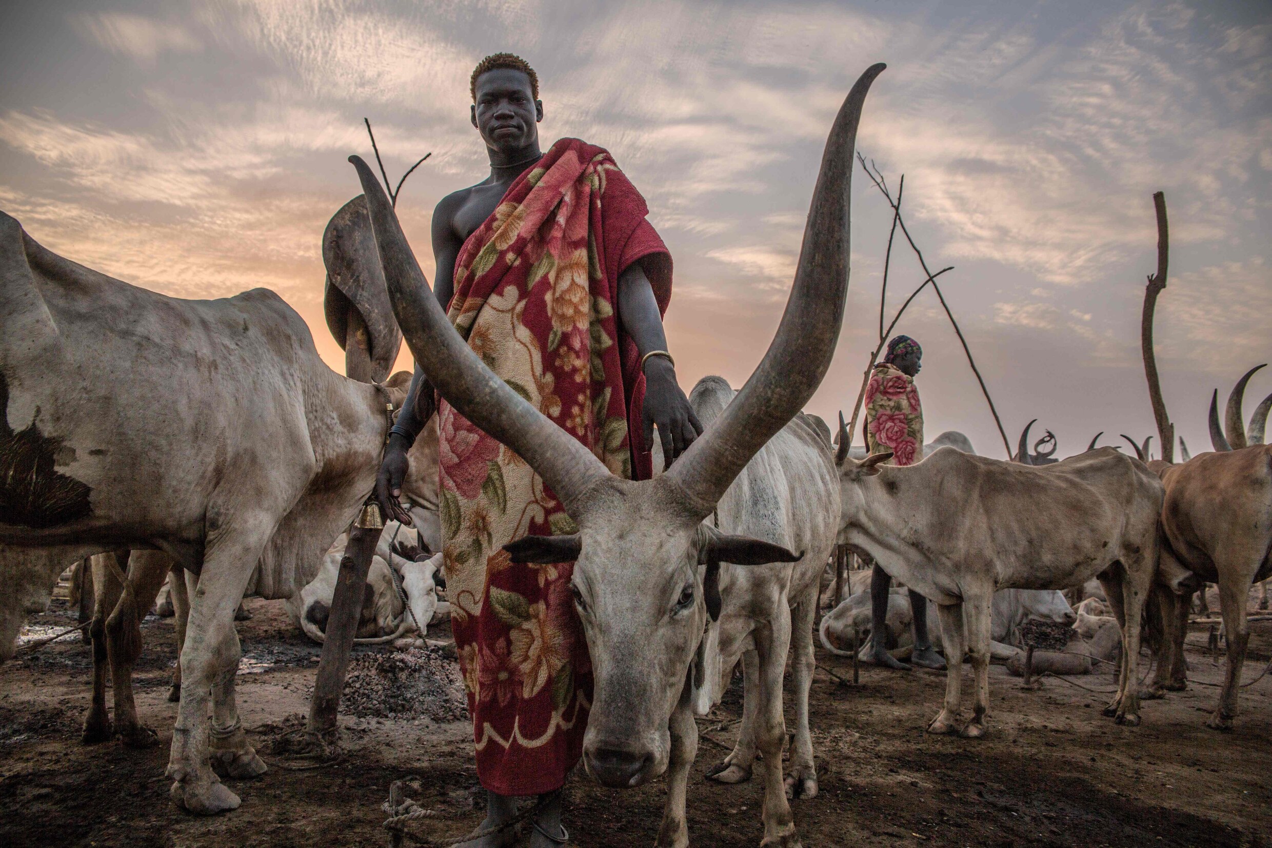 Eeuwenoude tradities houden Sudanese nomaden tegen om voedselprobleem in Afrika op te lossen