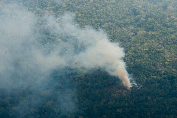 Kabila-regime doorbreekt zestien jaar oud moratorium voor exploitatie tropisch regenwoud