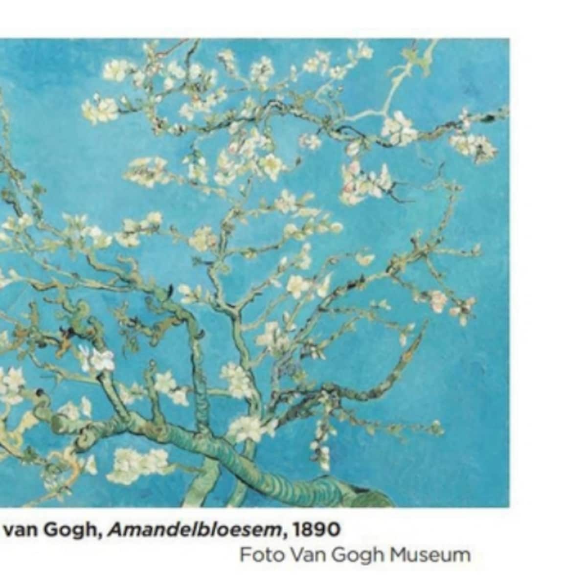 Lentebloesem van gogh on sale