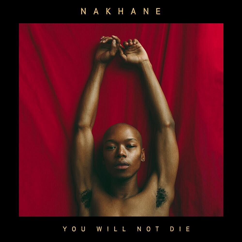 3. Nakhane - You Will Not Die