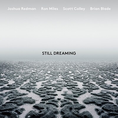 5. Joshua Redman - Still Dreaming
