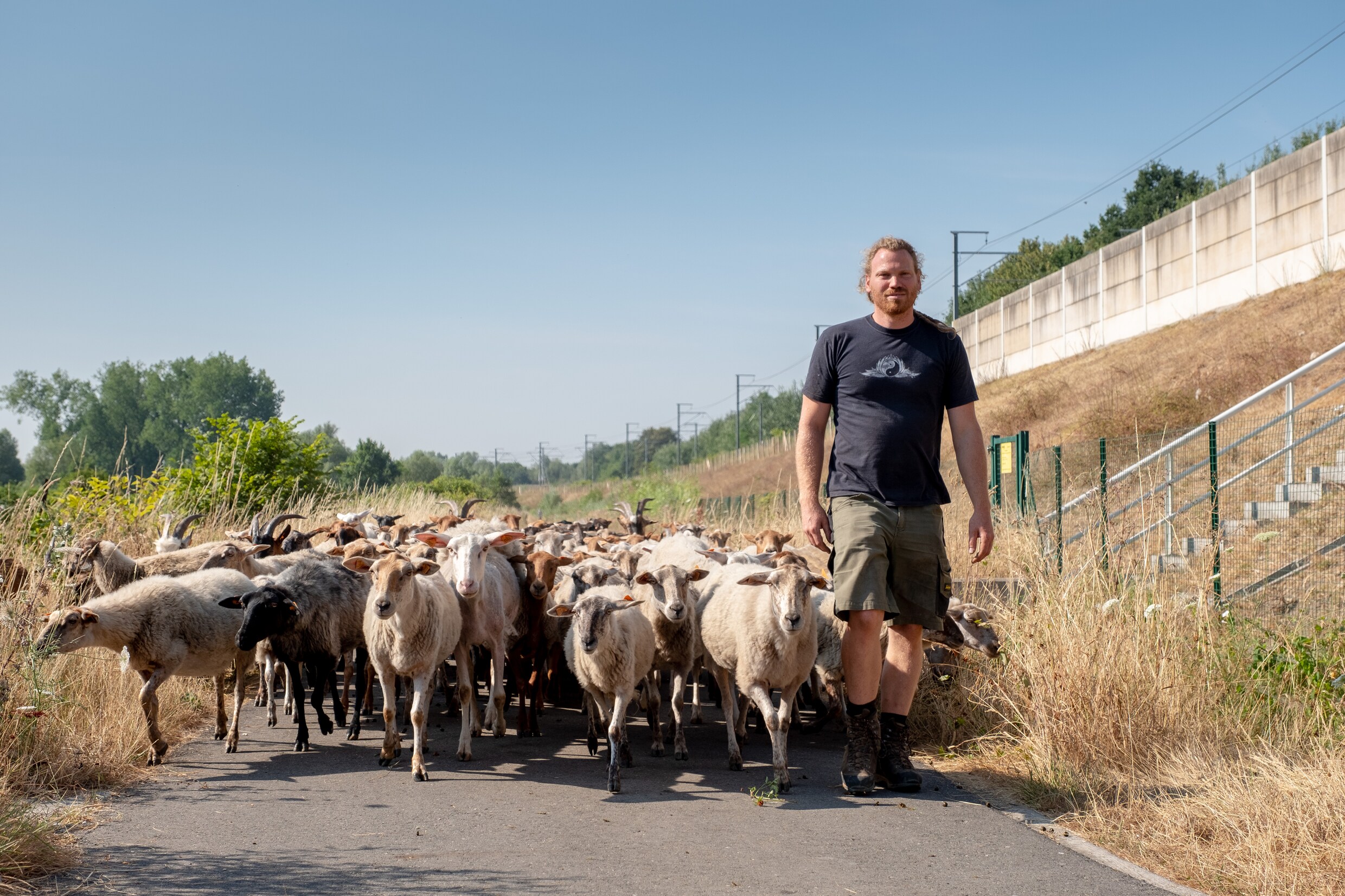 Infrabel laat schapen en geiten grazen op spoorwegbermen