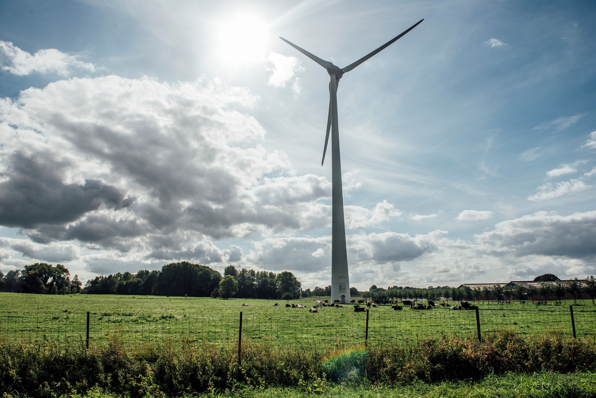 “Ingewikkelde Belgische staatsstructuur ondermijnt duurzaam klimaatbeleid”