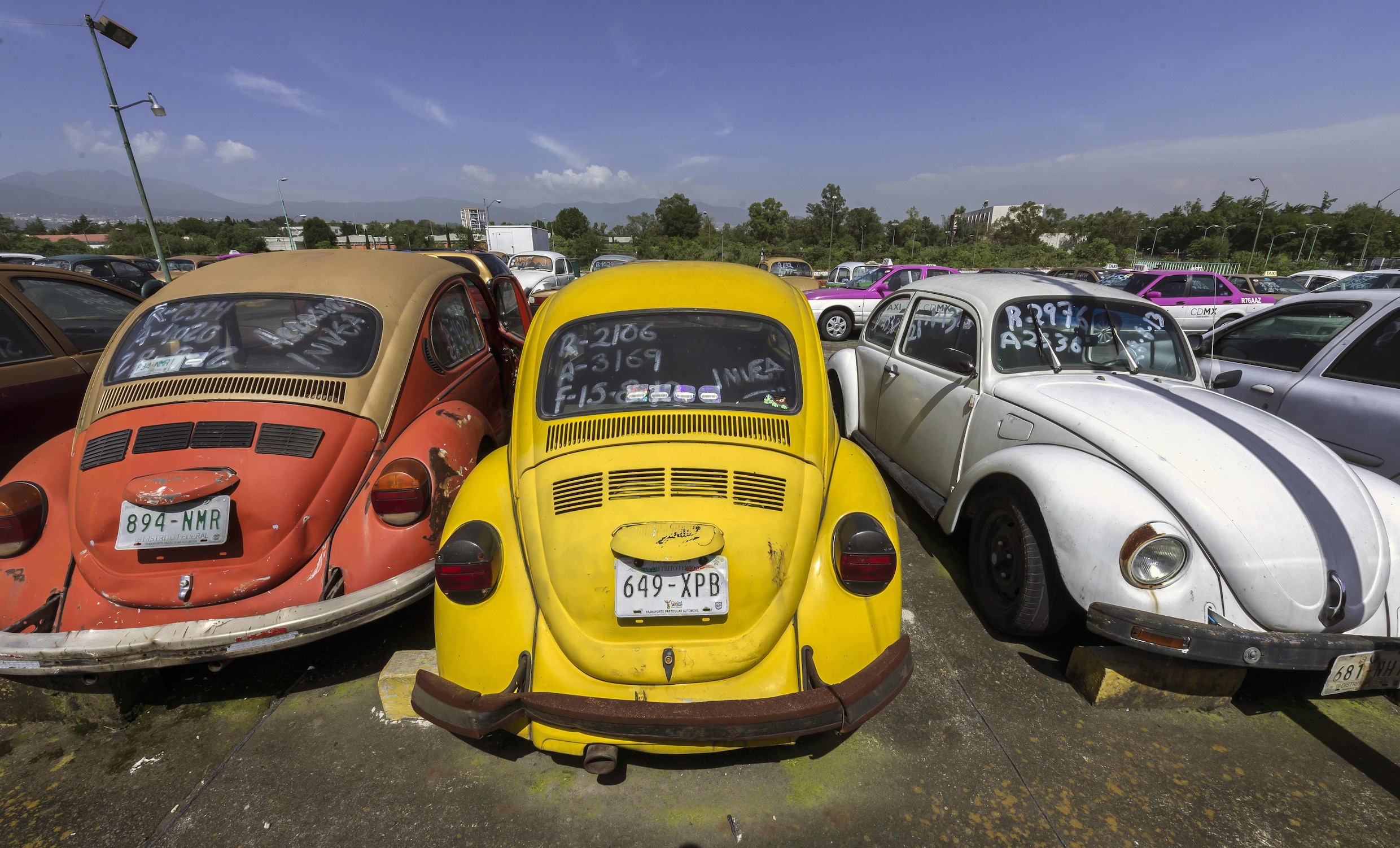 Volkswagen stopt met productie legendarische Beetle