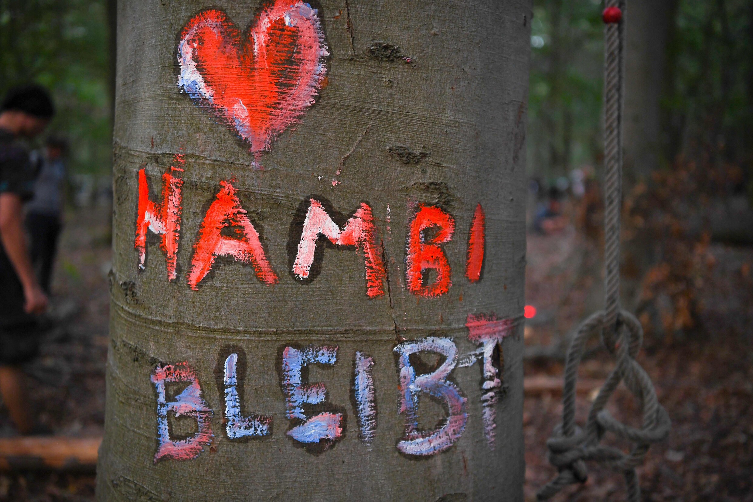 Betoging in Duits 'bruinkoolbos' verboden na dodelijke val van journalist die boomhutdorp bezocht