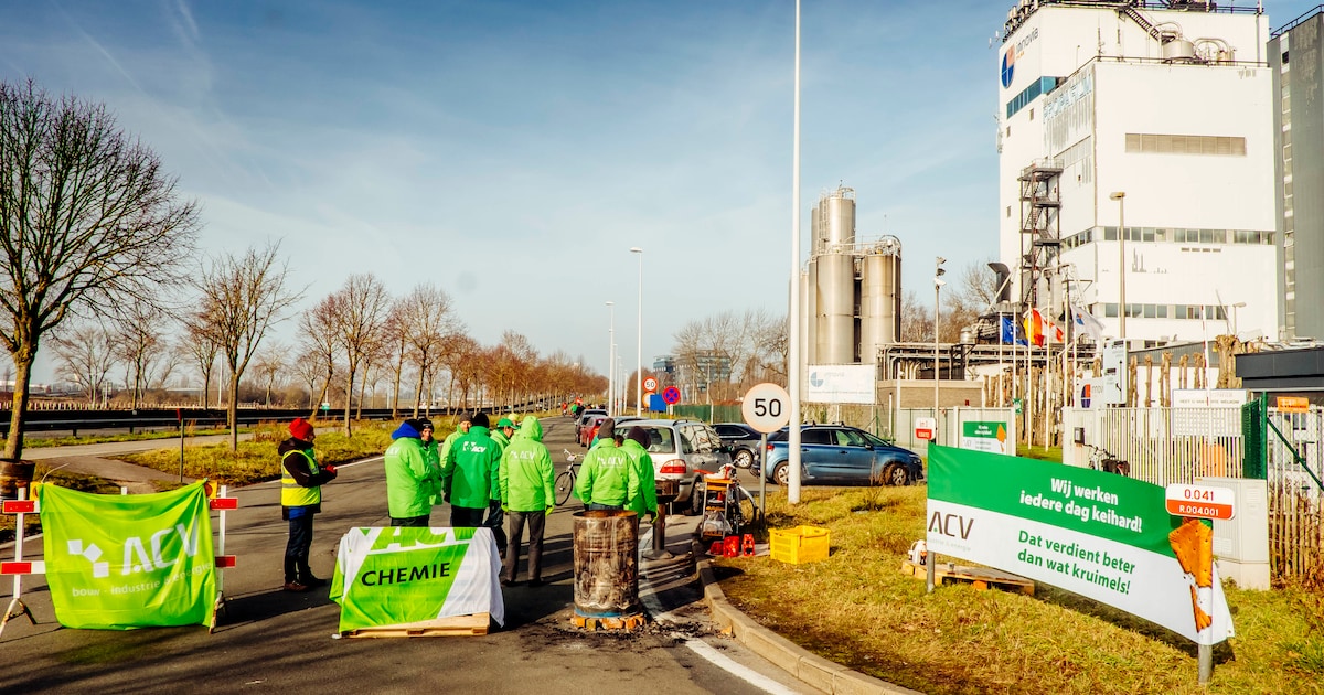 Op 13 Februari Legde Nationale Staking Grote Delen Van Het Land Plat ...