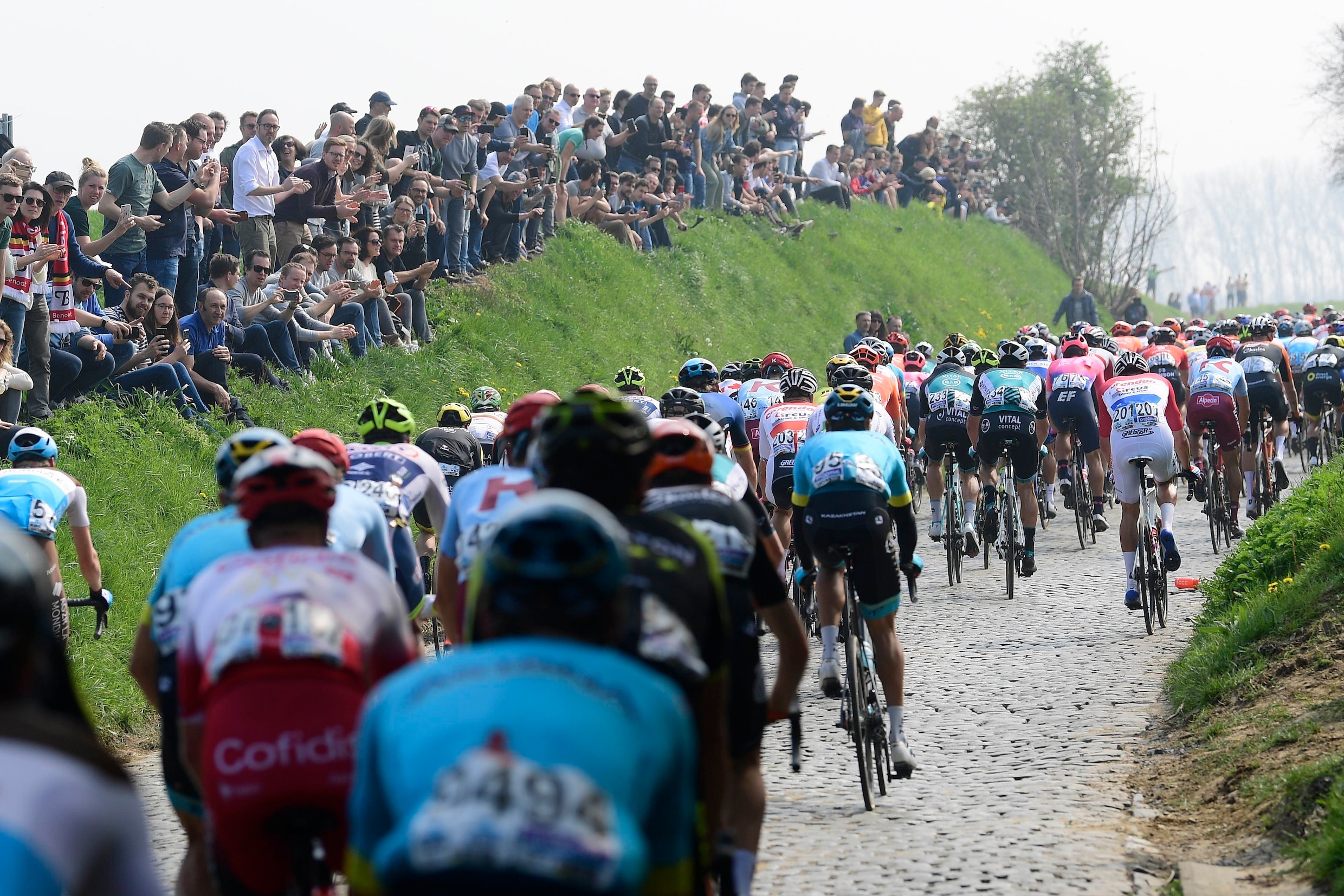 Ronde van Vlaanderen wordt zondag dan toch gereden, maar dan wel virtueel
