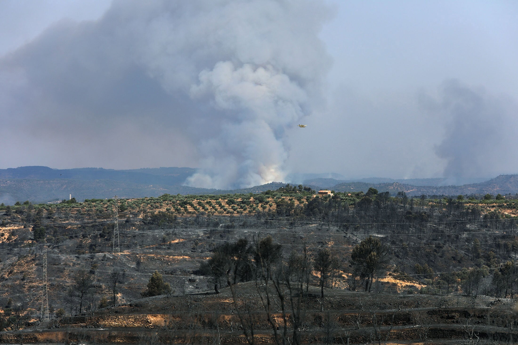 Catalonië in greep van grootste bosbrand in twintig jaar: meer dan 5.500 hectare in de as