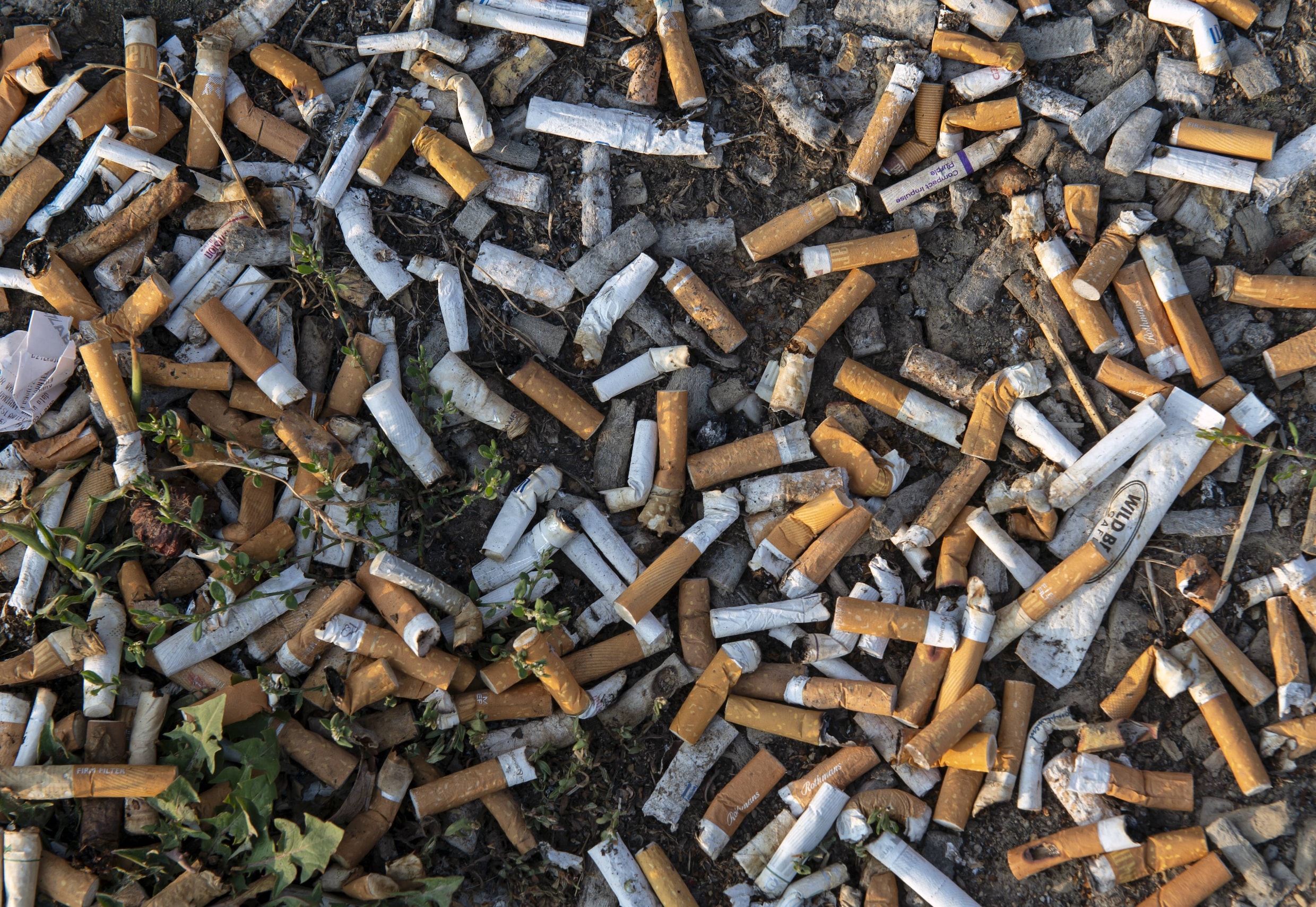 Nieuw-Zeeland wil een rookvrij land worden: ‘In België moeten we daar nog niet aan denken’
