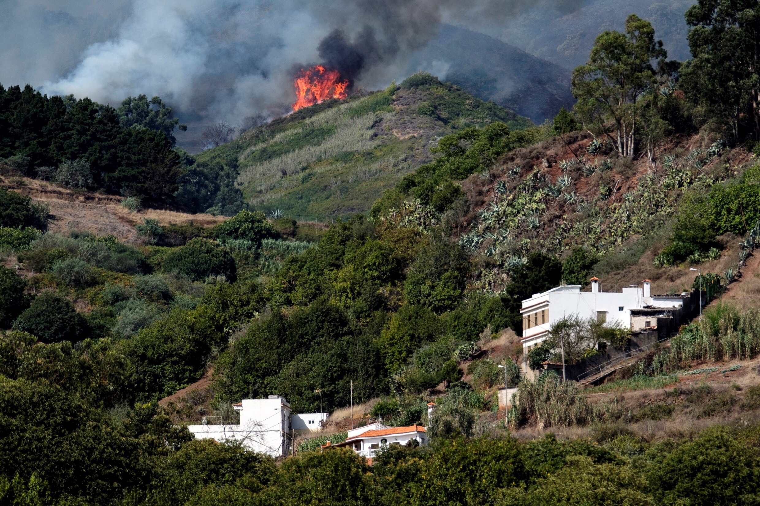 Nu al 8.000 evacuaties door bosbranden Gran Canaria