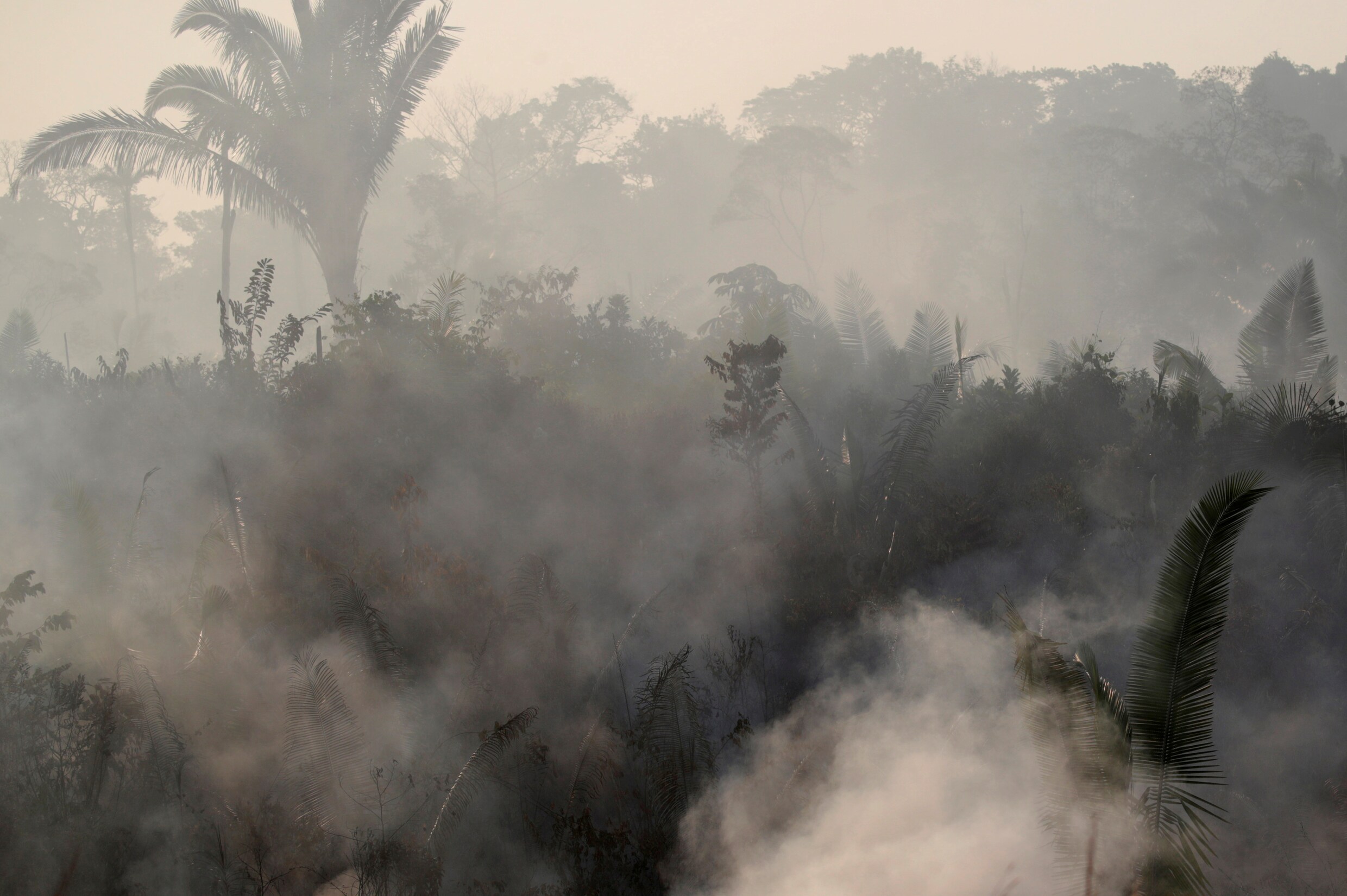 Bolsonaro belooft ‘zero tolerance’ in Amazone en zet leger in bij bestrijding branden