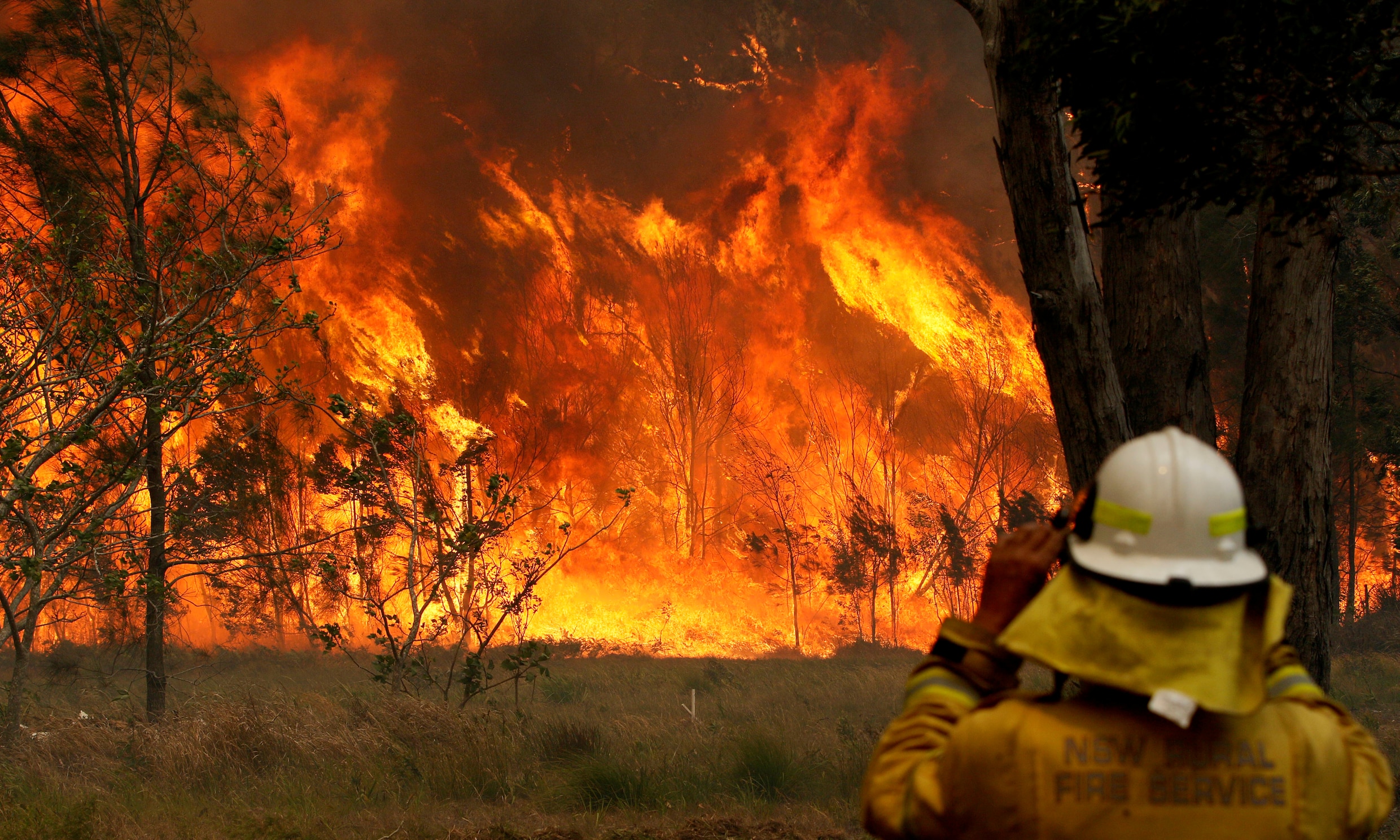 ▶ ‘Angstaanjagende’ bosbranden in Australië: drie doden en 100 huizen verwoest
