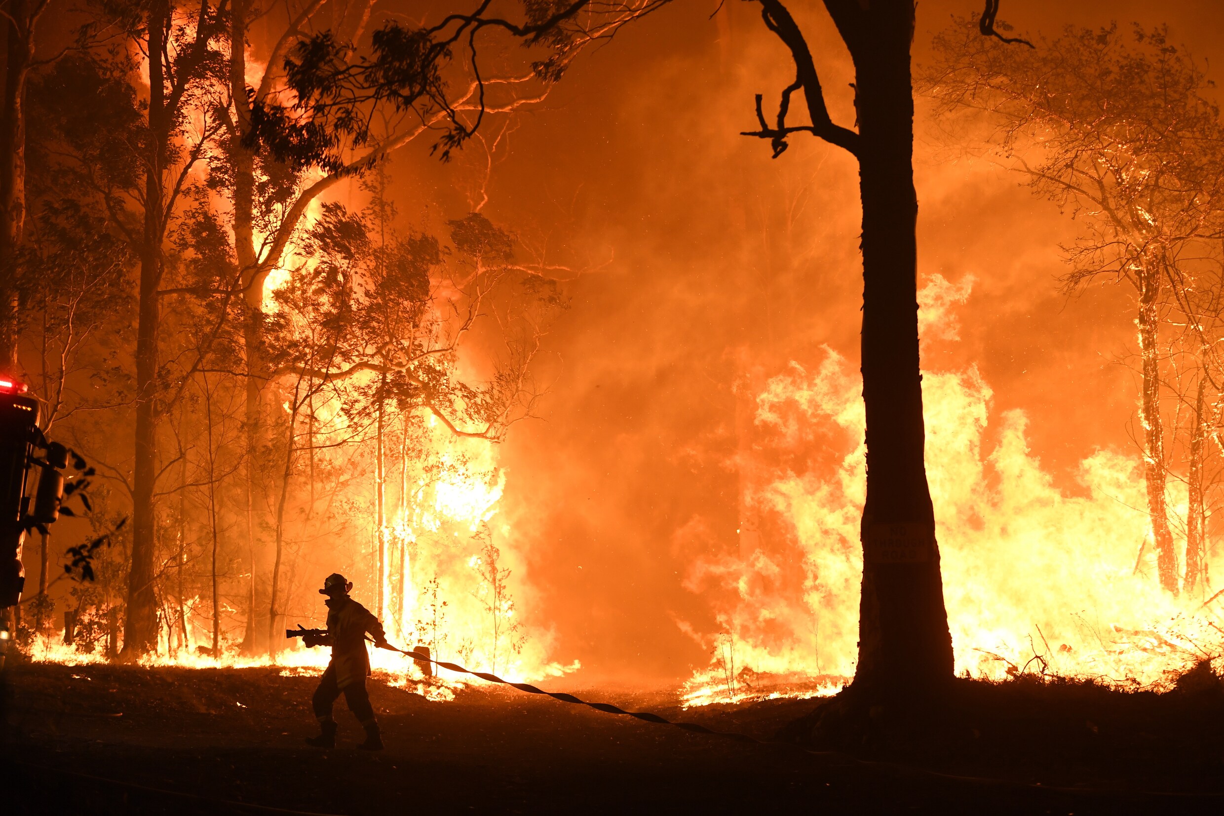 Australië gaat gebukt onder hevige bosbranden en ruziet over de oorzaak