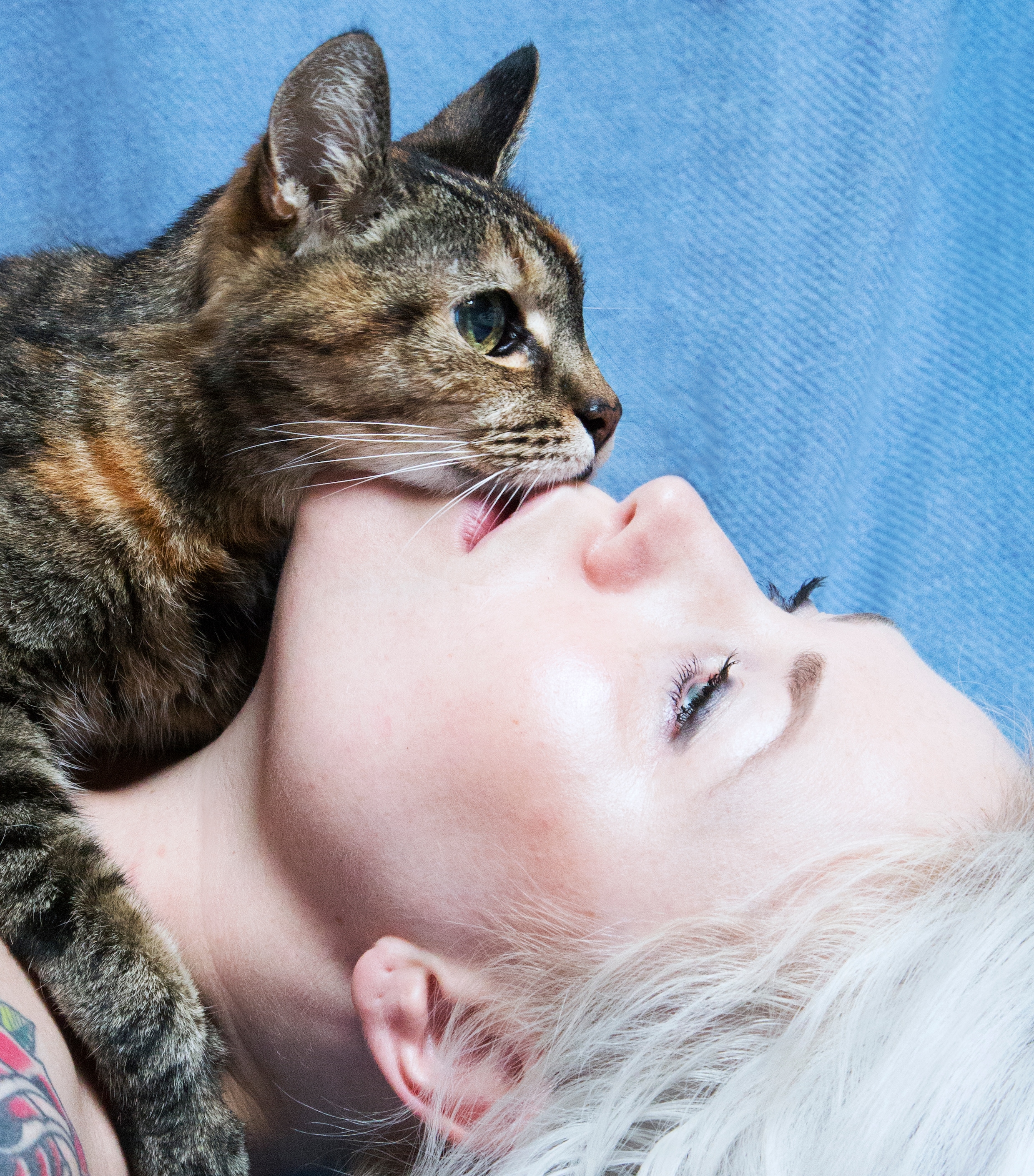 Kan een katten­allergie afnemen door veelvuldig contact met katten?