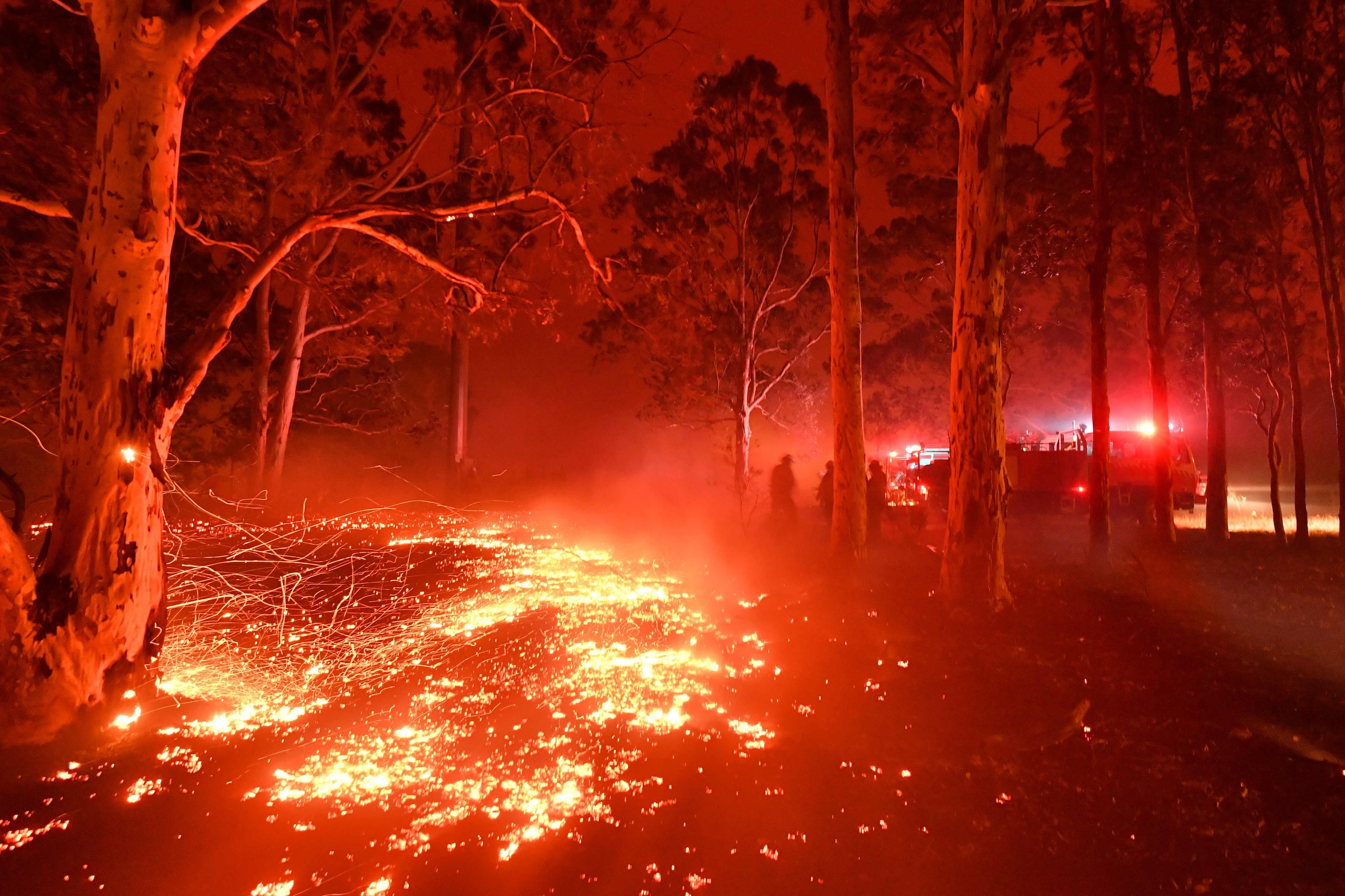 Australië zet leger in om door branden geteisterde oostkust te bevoorraden