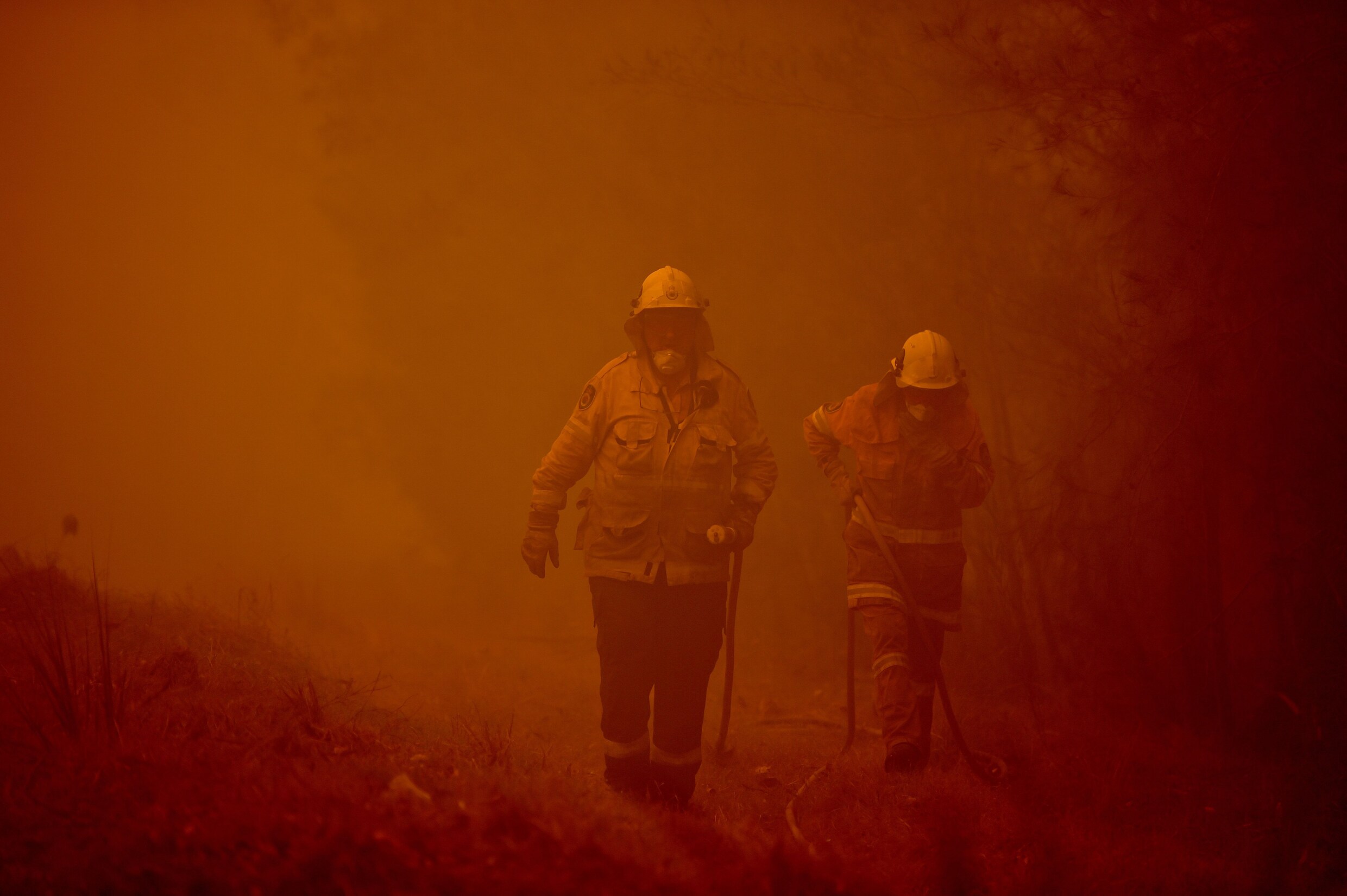 Nieuwe dode brengt tol van Australische bosbranden op 24 slachtoffers