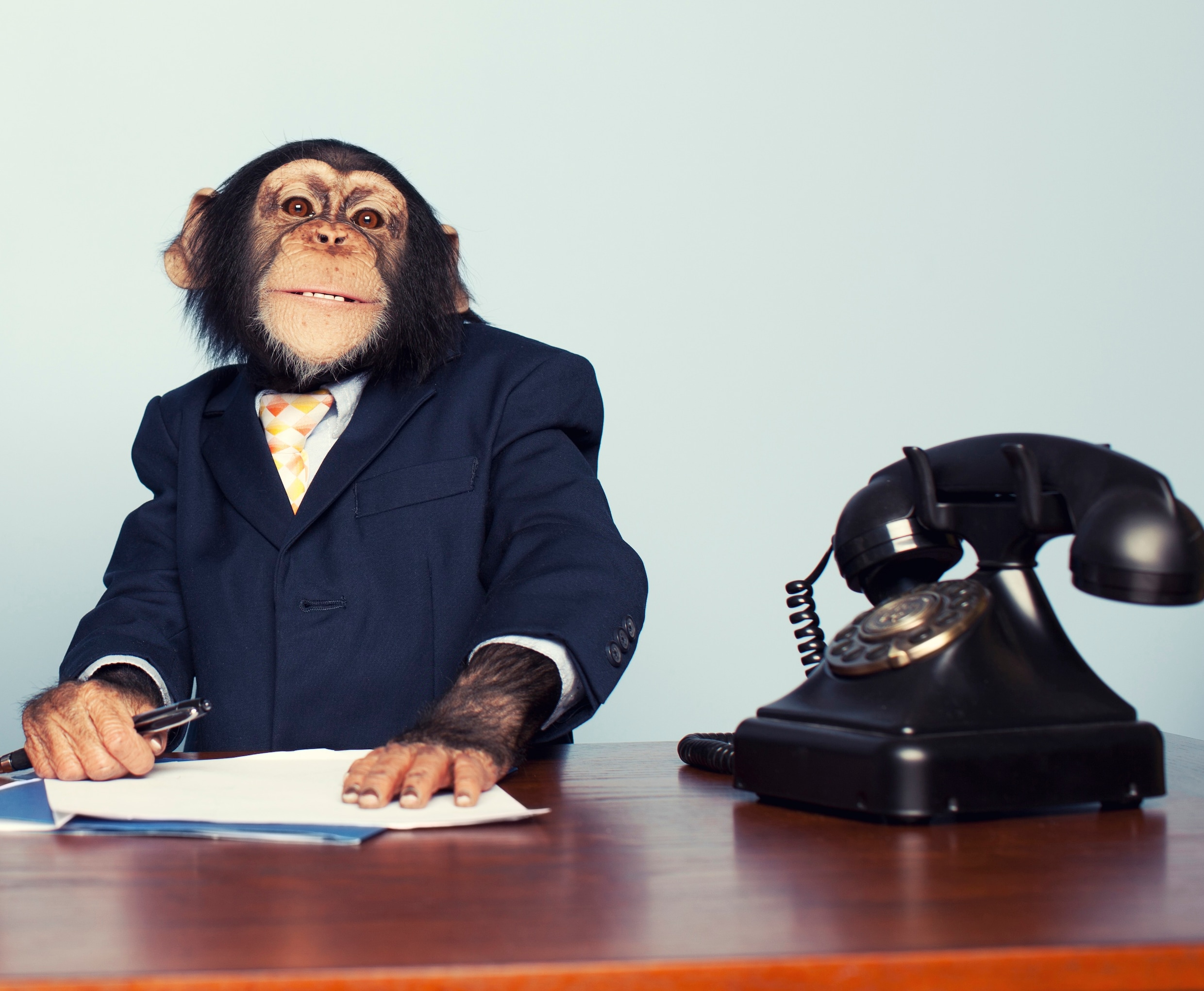 We zijn aangeklede apen die zich vermommen als schrijnwerkers, sales managers en tandartsen
