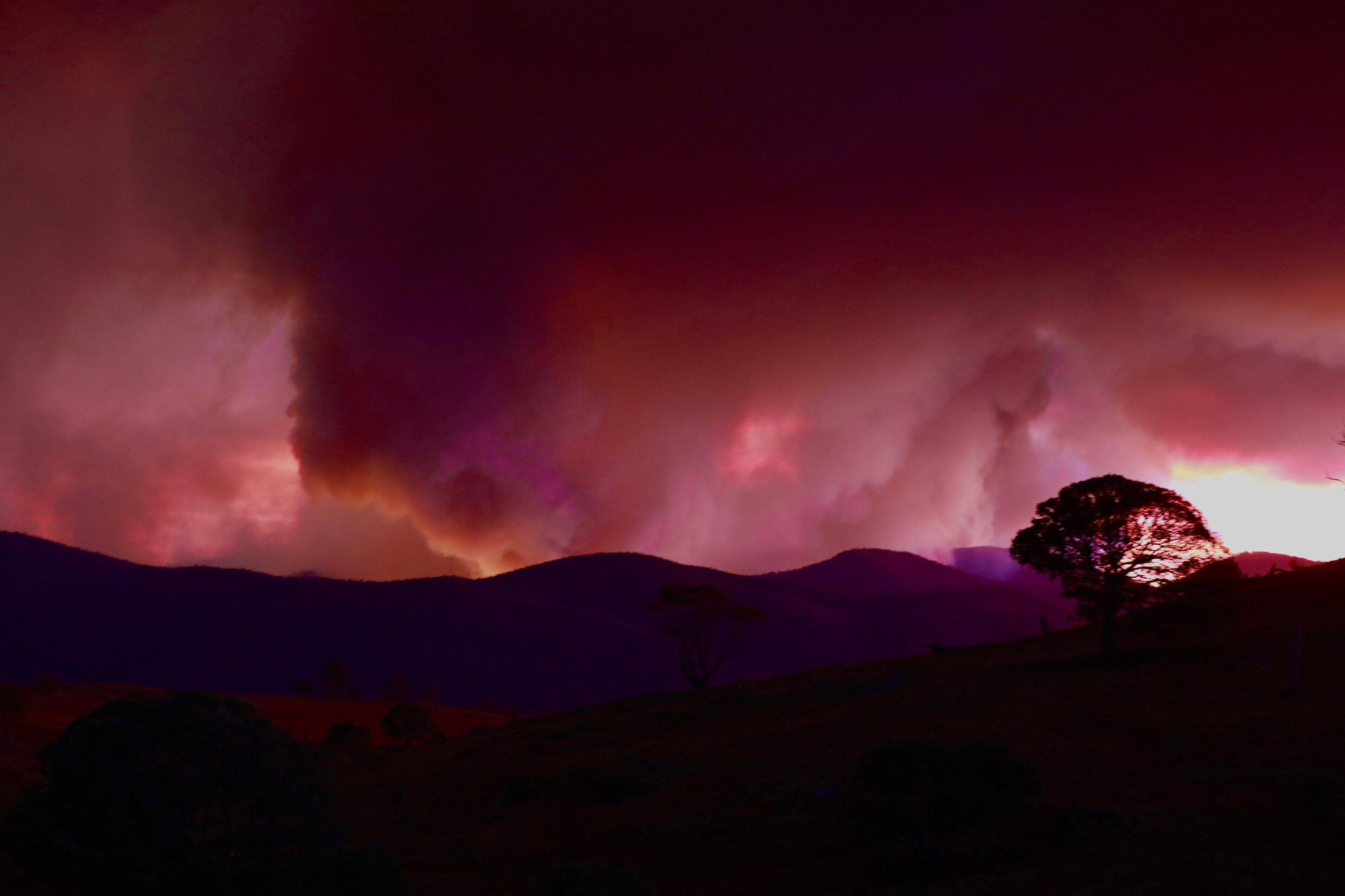 830 miljoen ton koolstofdioxide vrijgekomen tijdens Australische bosbrandseizoen