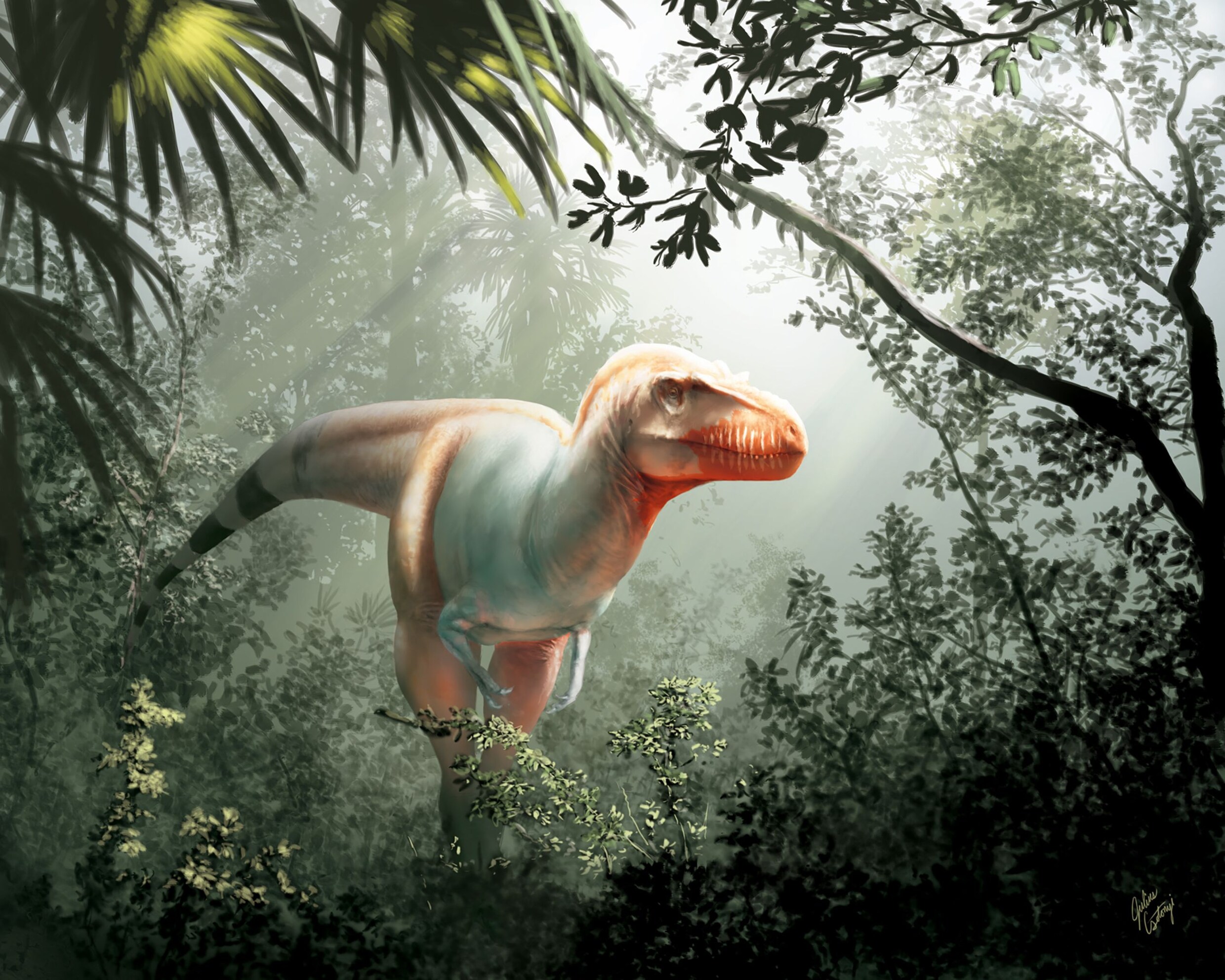 Nieuwe soort tyrannosaurus ontdekt die ‘dood en verderf’ zaaide