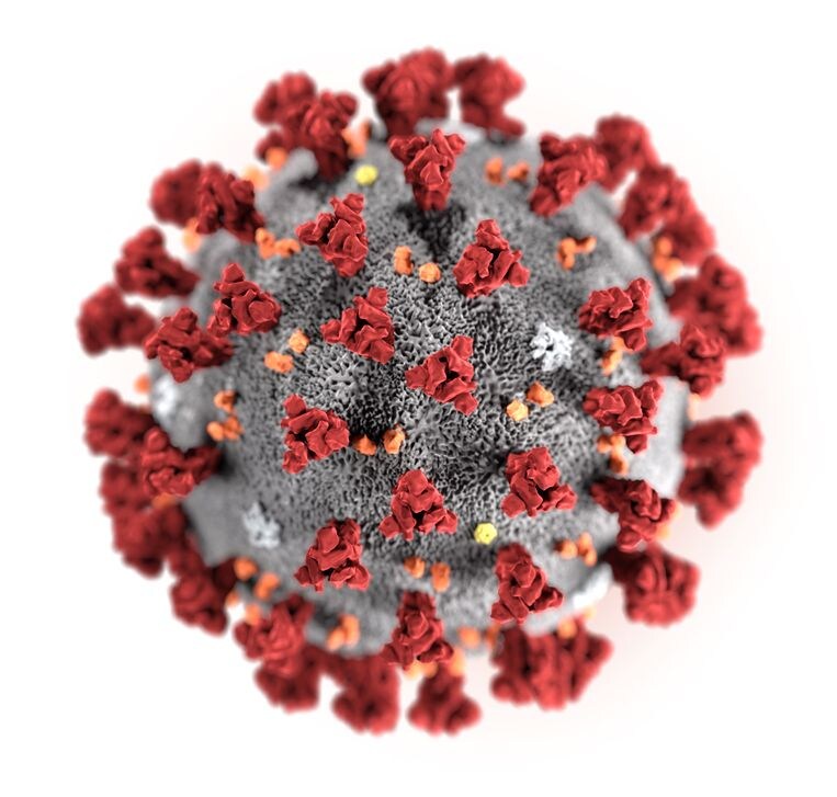 ‘Het coronavirus botst steeds meer op nieuwe hinderpalen in ons land’