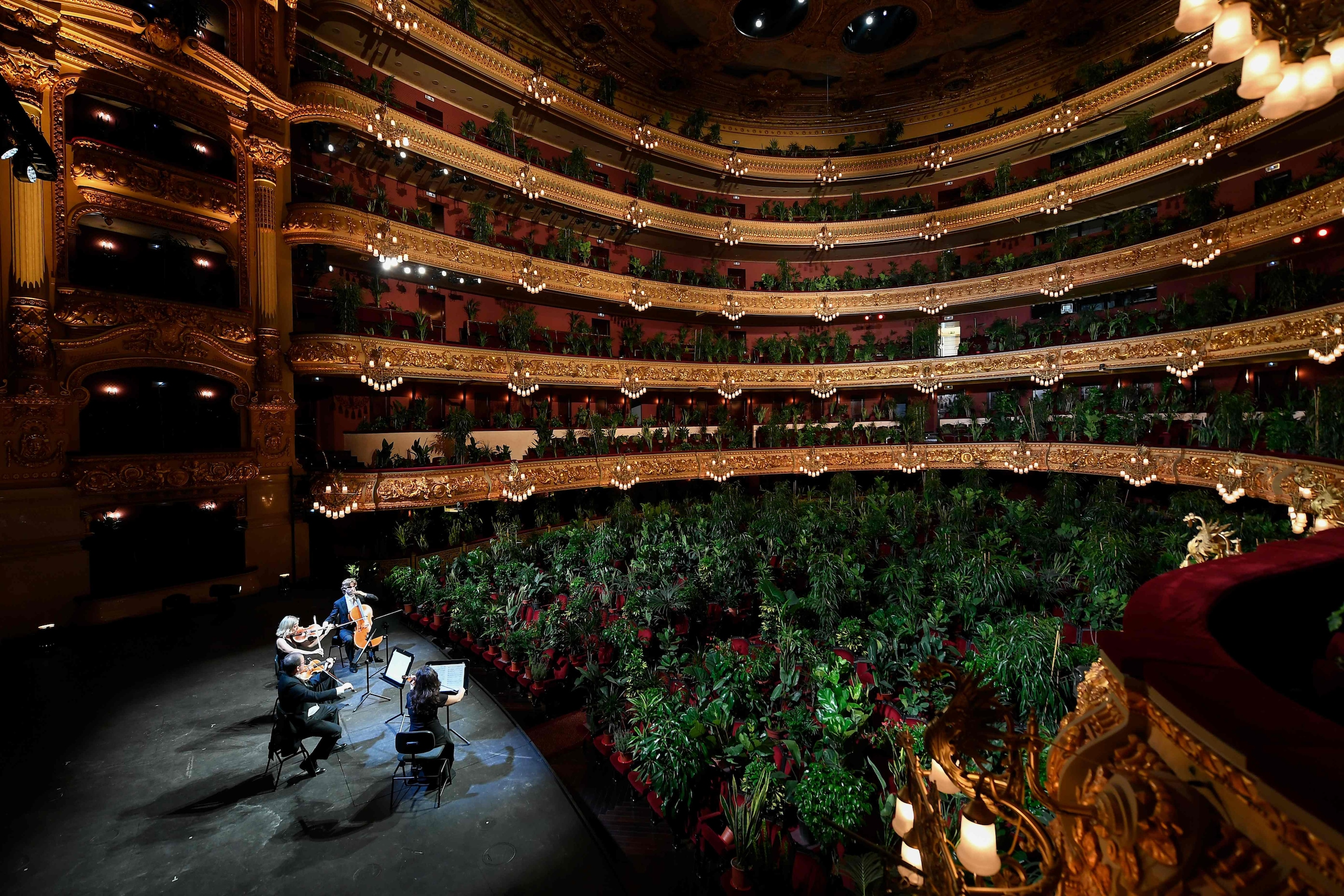 ▶︎ Opera van Barcelona speelt eerste concert sinds lockdown voor een zaal vol planten