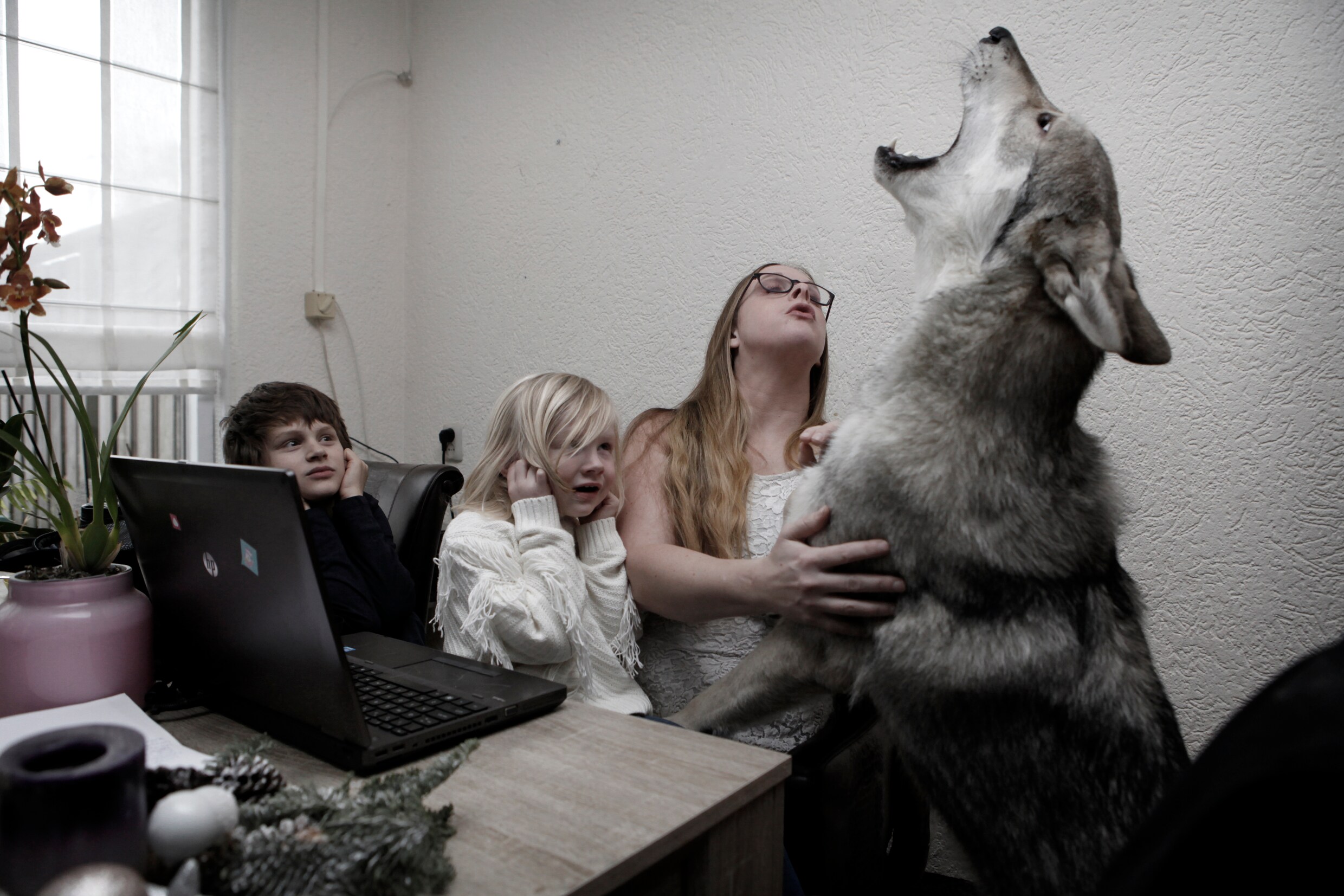 In beeld: Ontroerende portretten van een meisje en haar wolf