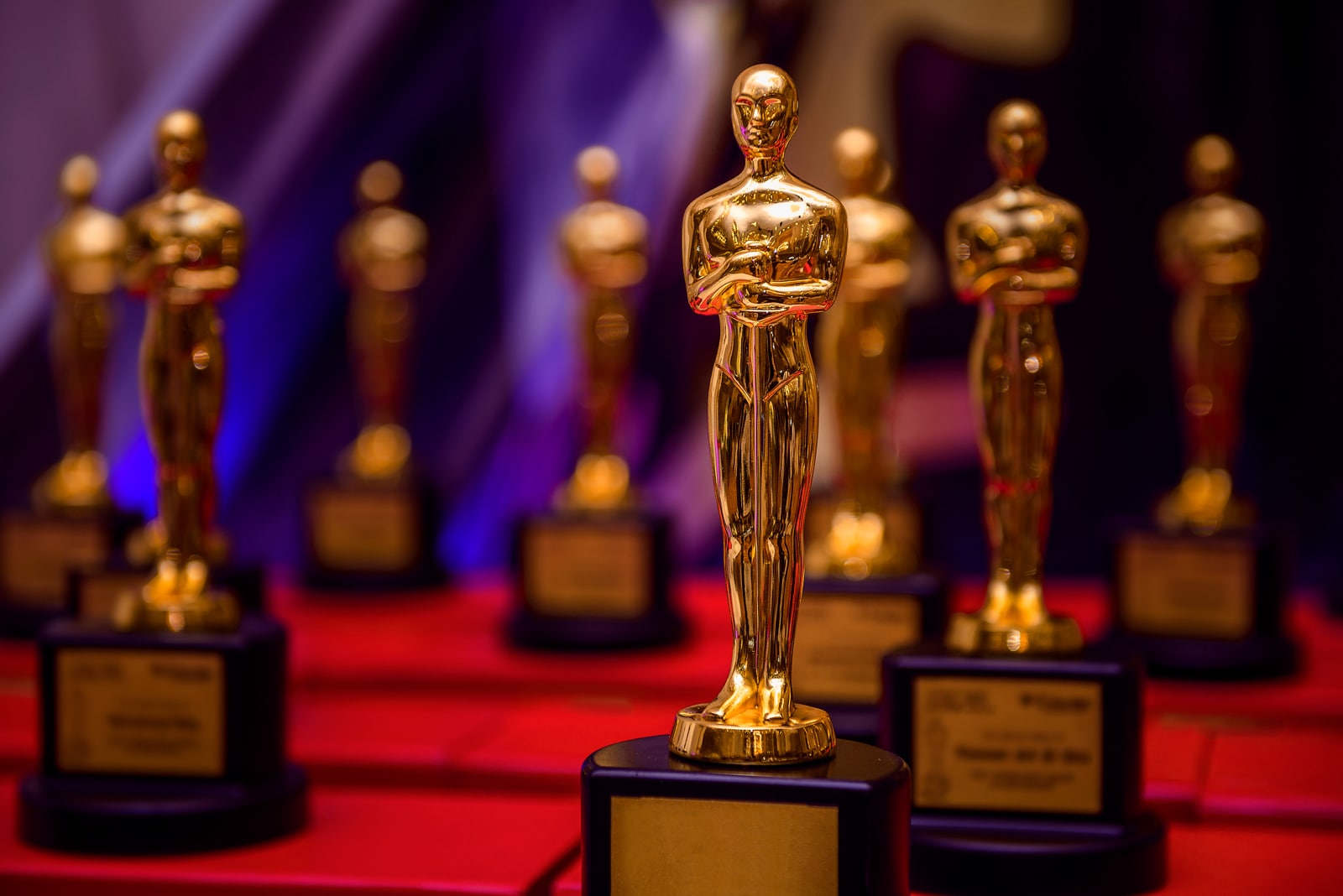 ‘Mank’ is met 10 nominaties topfavoriet voor de Oscars, ook ‘Nomadland’ grote kanshebber