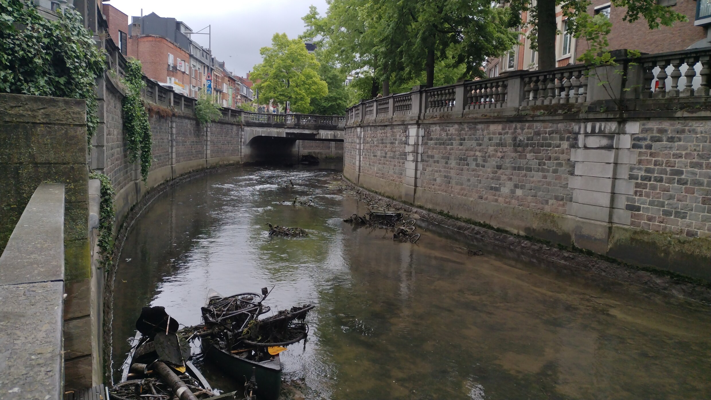 Fietsen, verkeersborden en winkelkarren: ‘Dijle in Leuven is de vuilste waterloop van Vlaanderen’