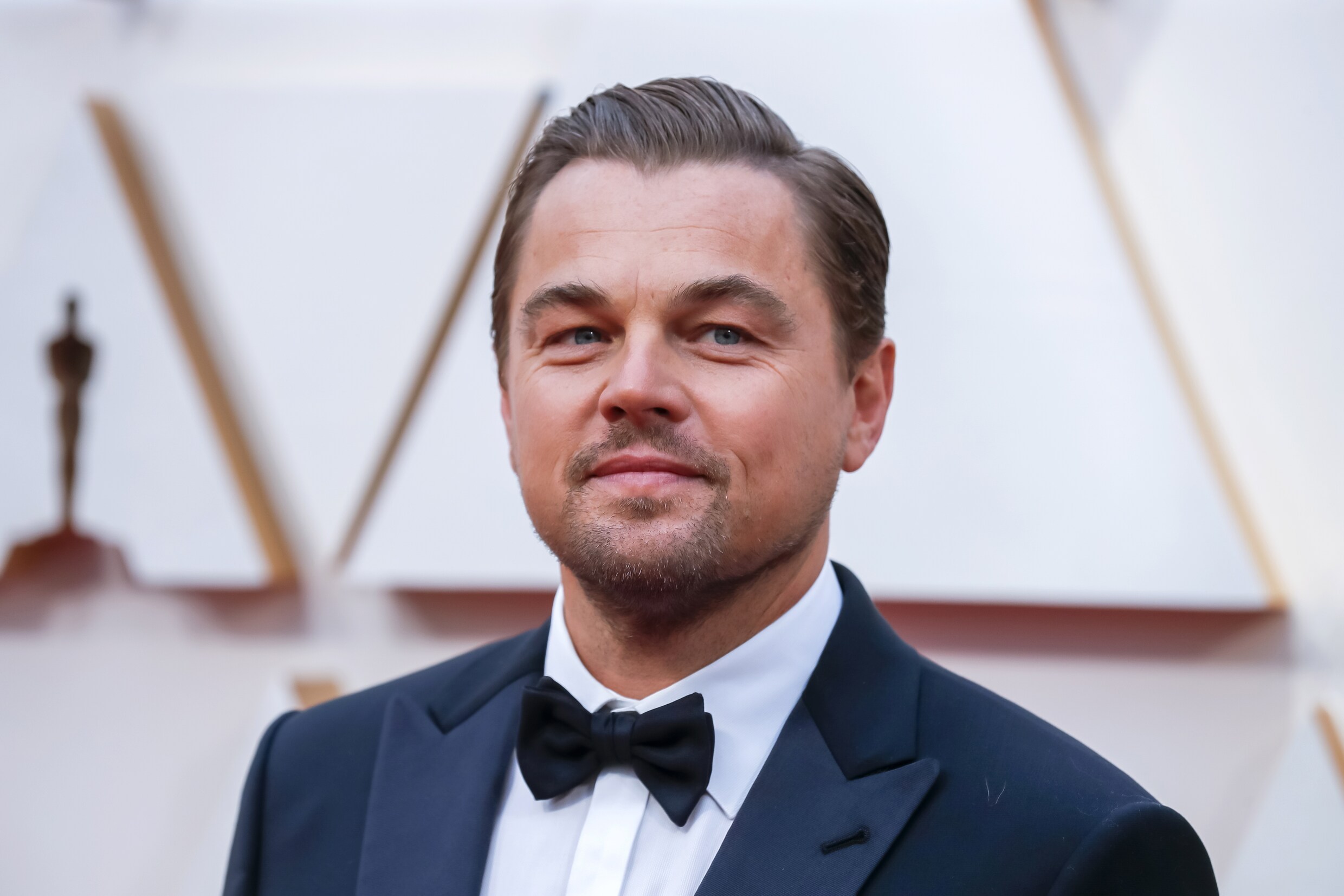 DiCaprio ziet geld in Nederlands vlees en ander economisch wereldnieuws De