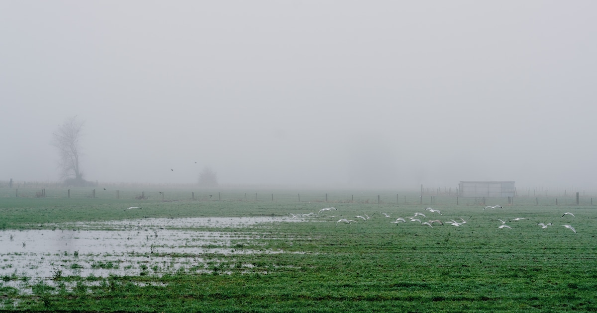 Veel Wind En Felle Buien: KMI Waarschuwt Met Code Geel Voor Hevige ...